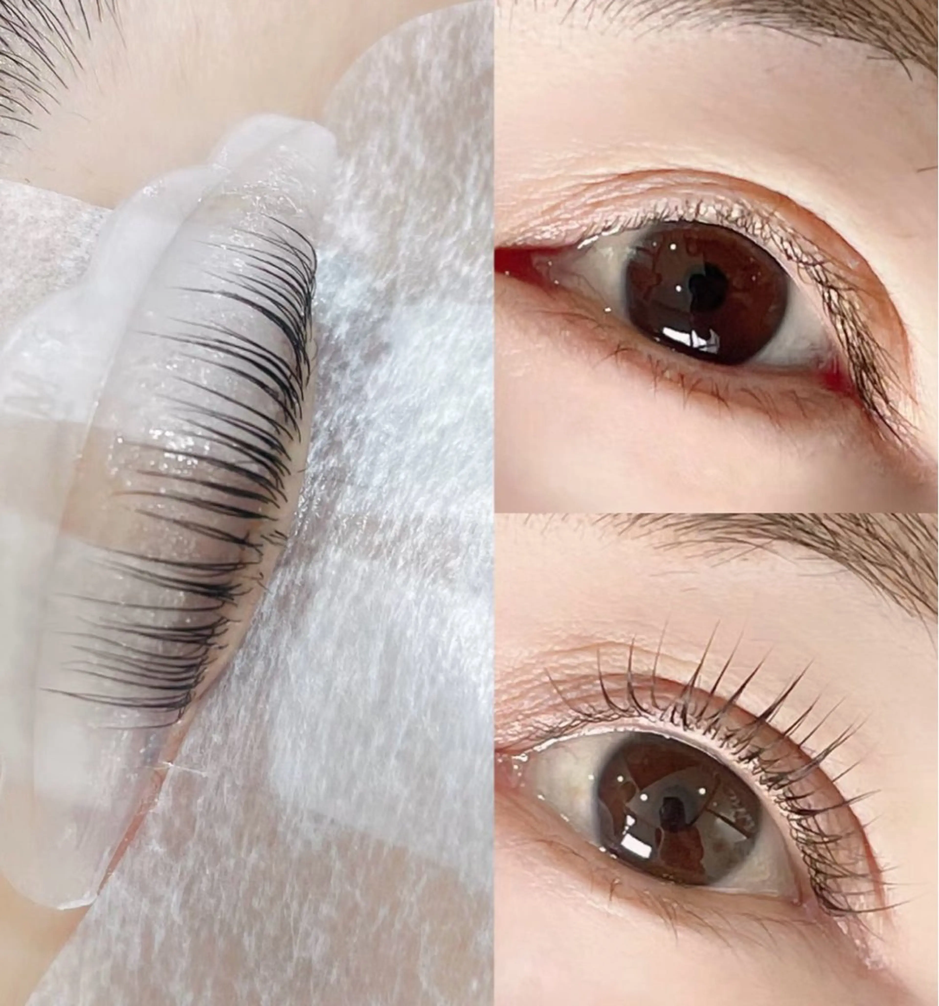 マツエク・マツパ Kllマツエク& まつげパーマ池袋店のマツエク・マツパデザイン