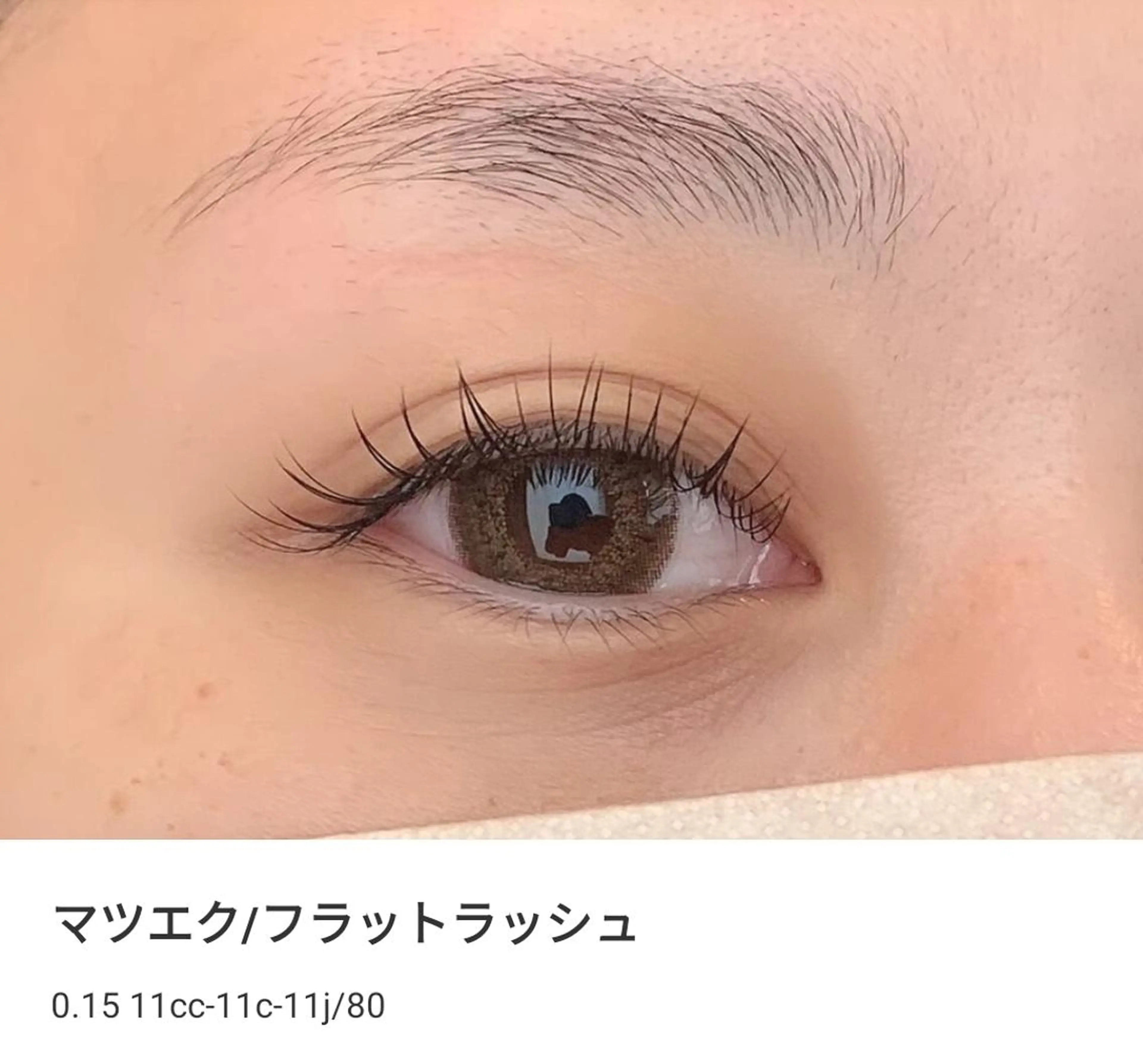💐フラットラッシュ80本オフ込の写真