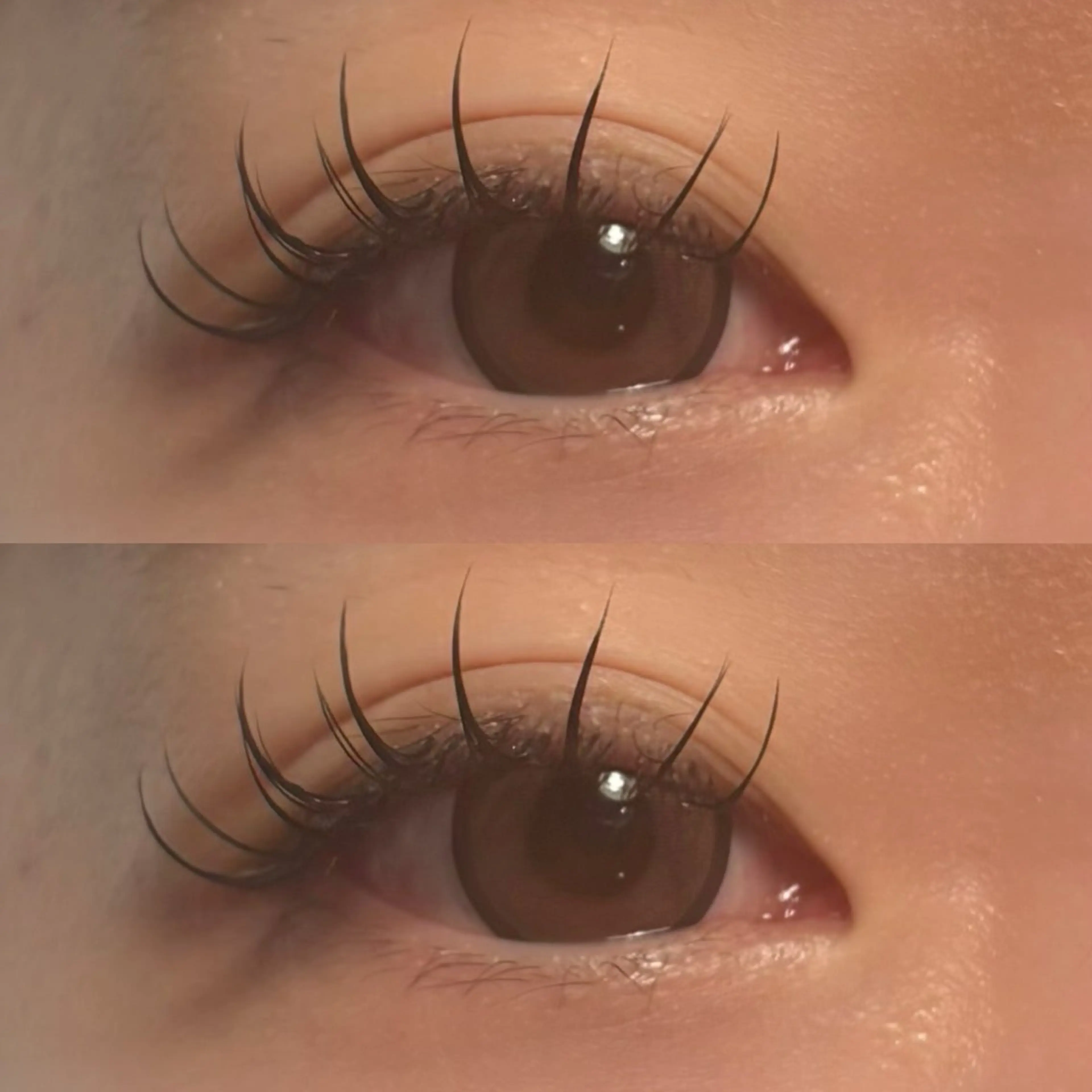 マツエク・マツパ 🍇chinatsu 🍇en Rêveのマツエク・マツパデザイン