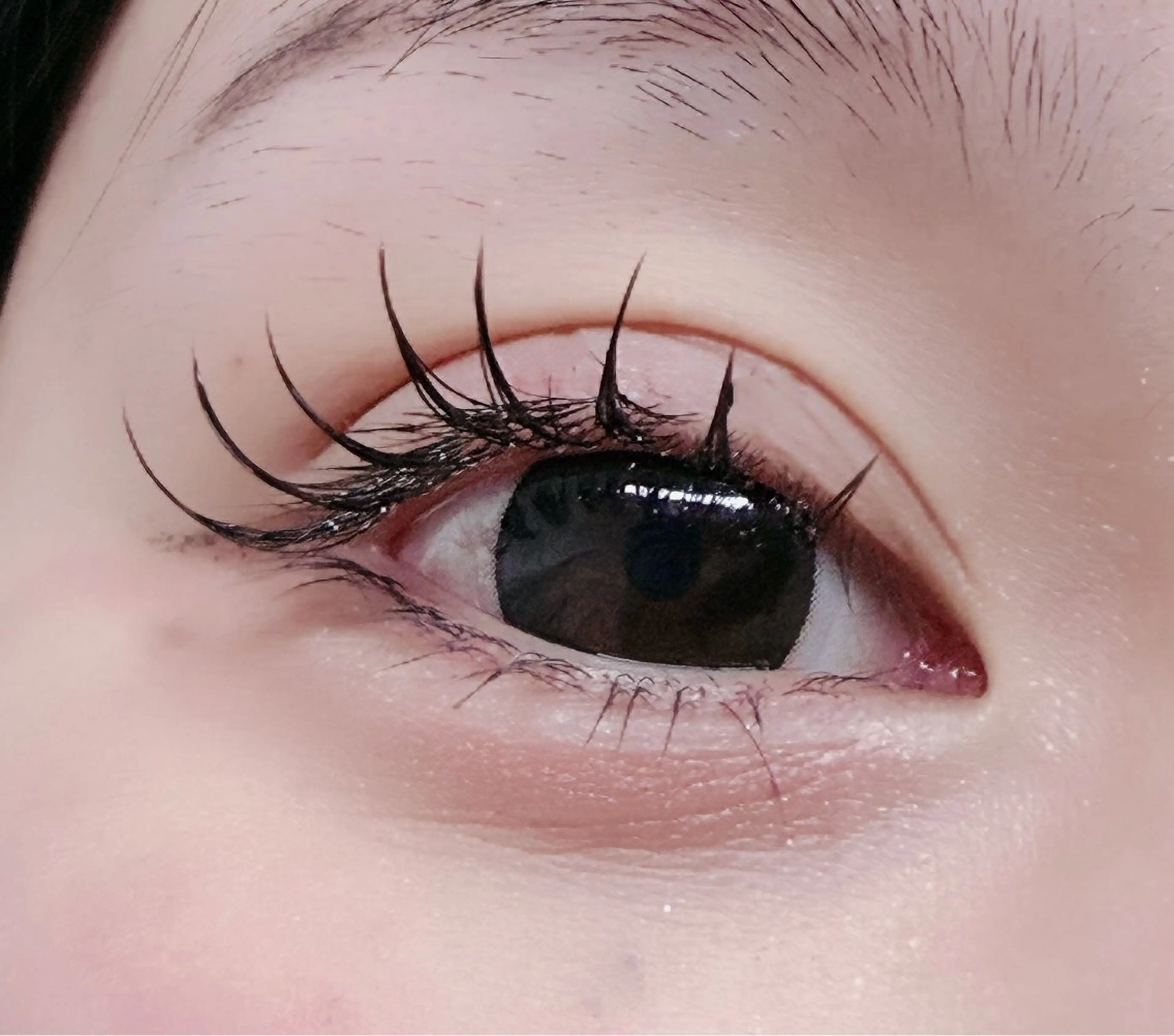 マツエク・マツパ フラットラッシュ マツエク ルチア💞 lucia高田馬場のマツエク・マツパデザイン