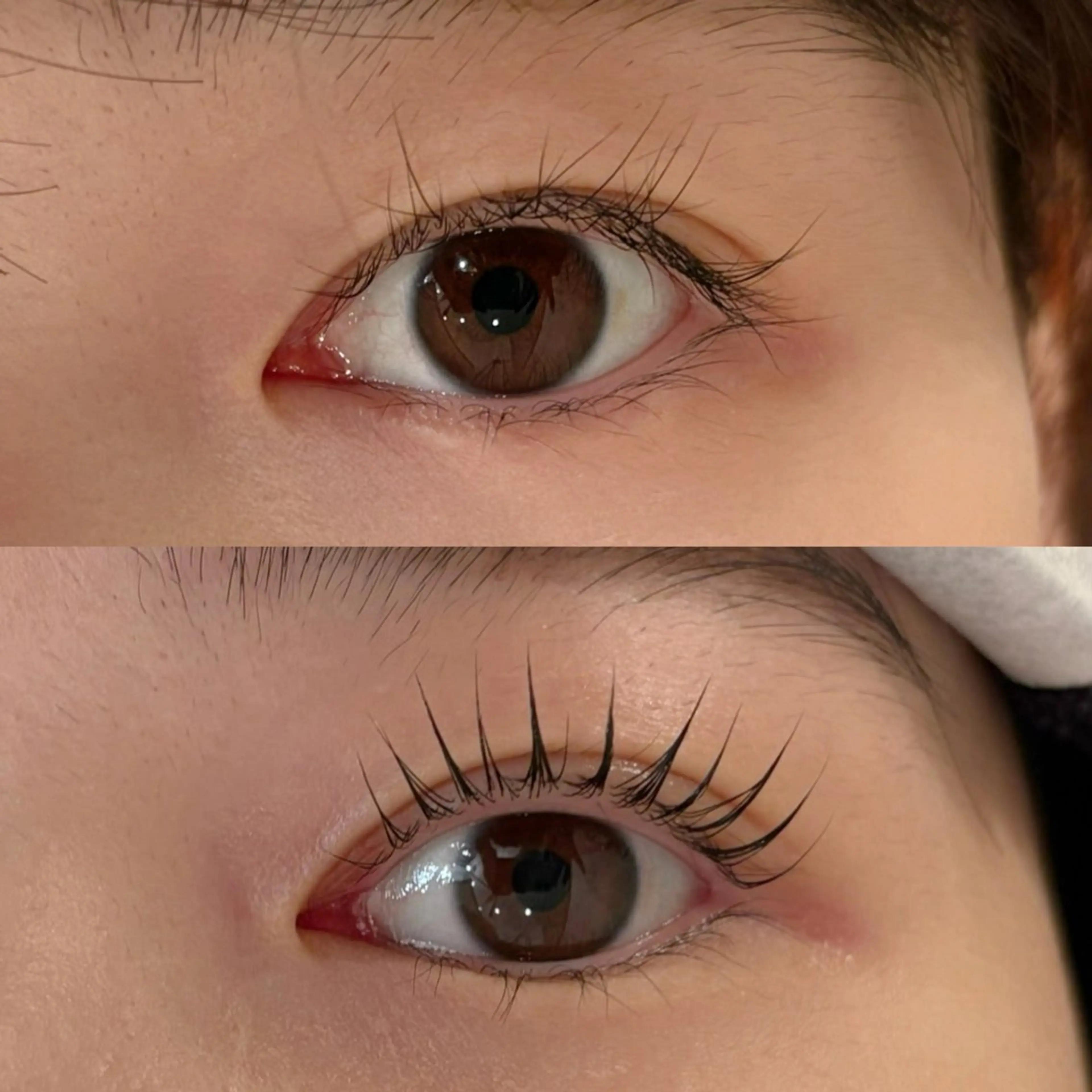 マツエク・マツパ パリジェンヌラッシュリフト eye candy 🪽tanakaの眉毛・アイブロウイメージ