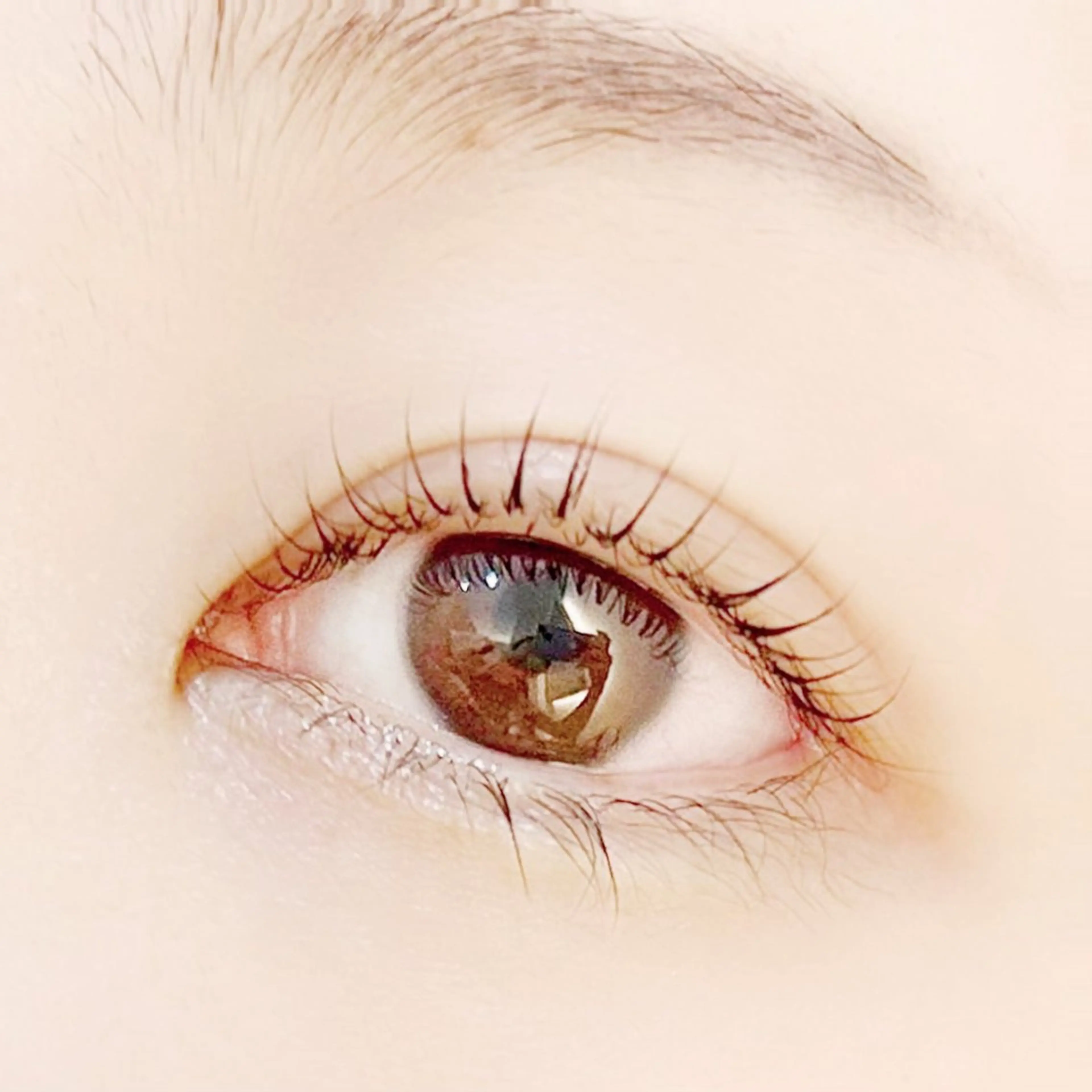 直前割価格🌹まつげパーマ/パリジェンヌラッシュ/コーティングトリートメント仕上げの写真