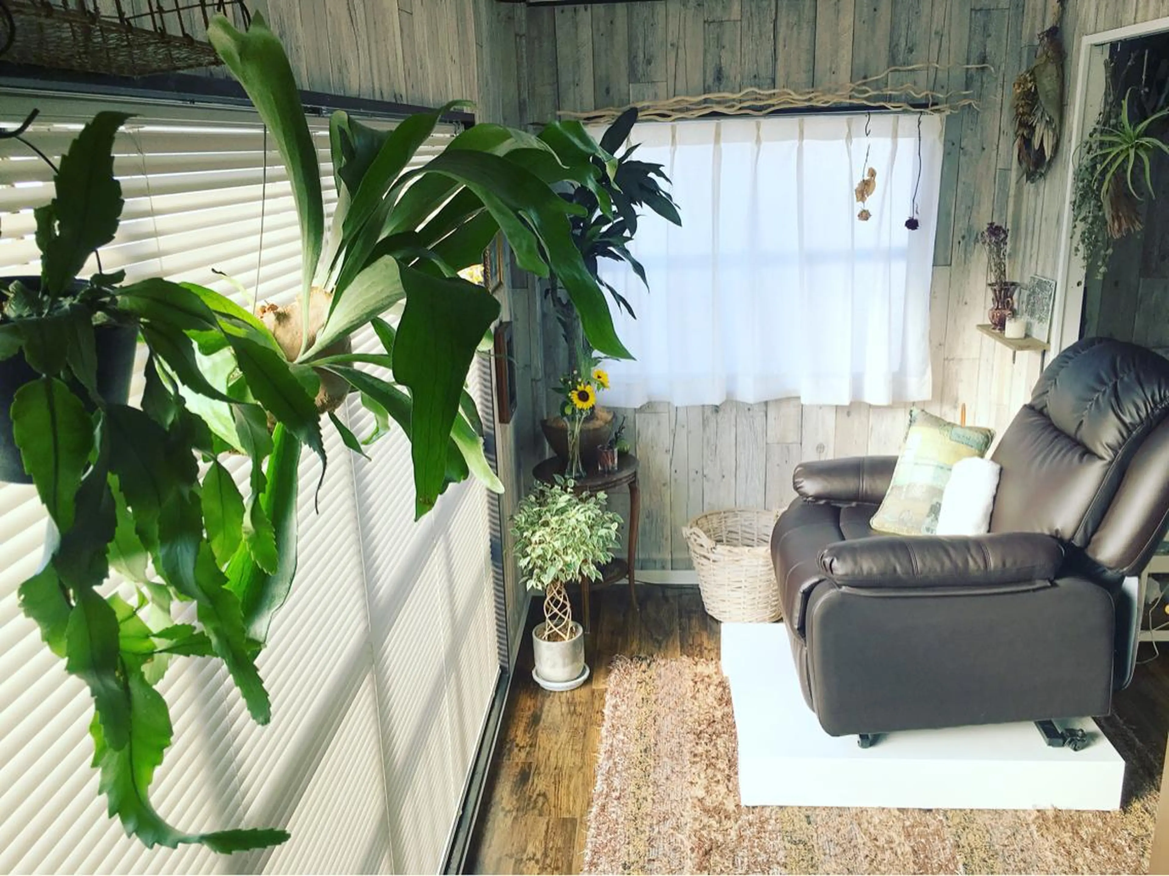 マツエク・マツパ Shigeno Hikaruのマツエク・マツパデザイン