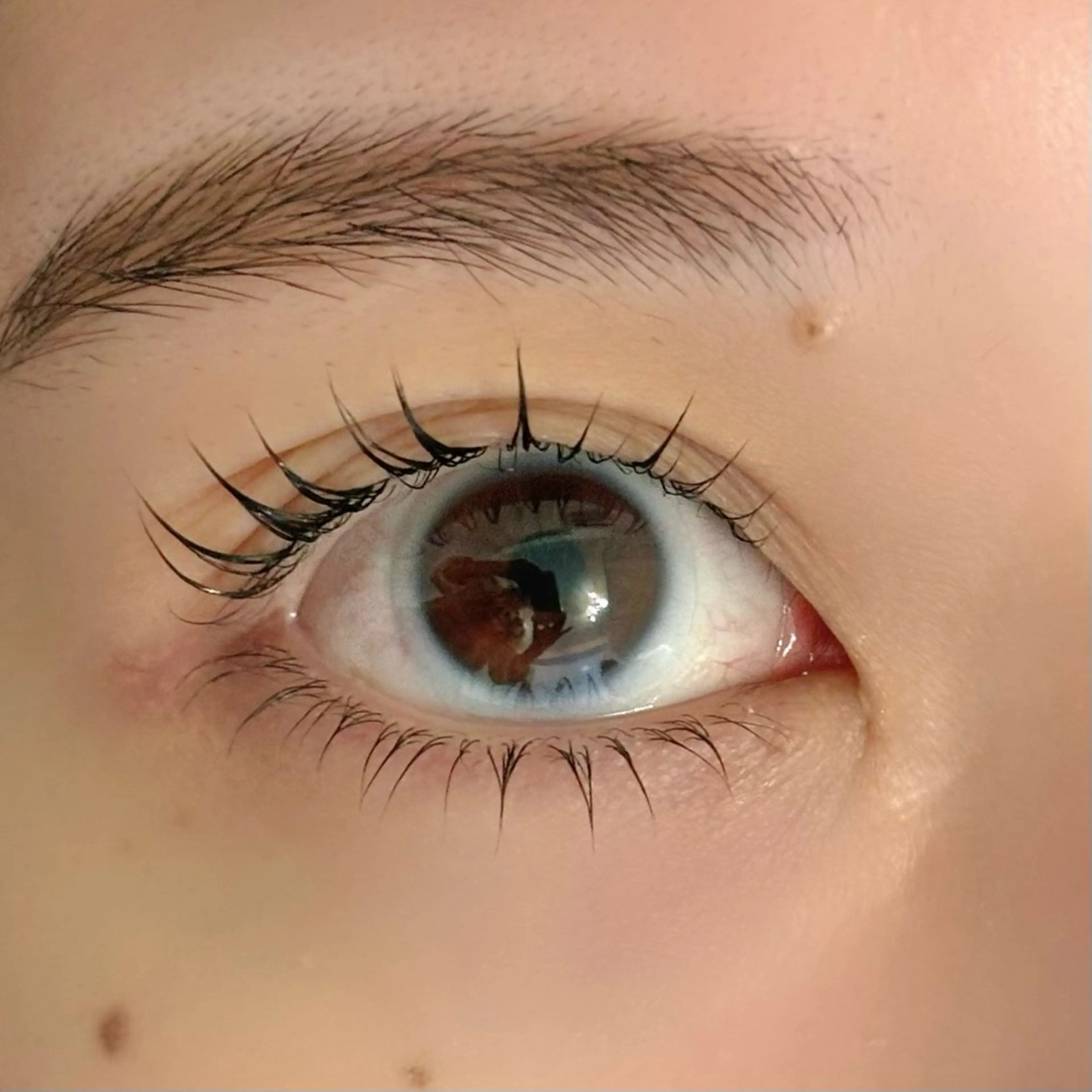 マツエク・マツパ 下まつげエクステ 一重×まつ毛パーマ moca MOCAのマツエク・マツパデザイン