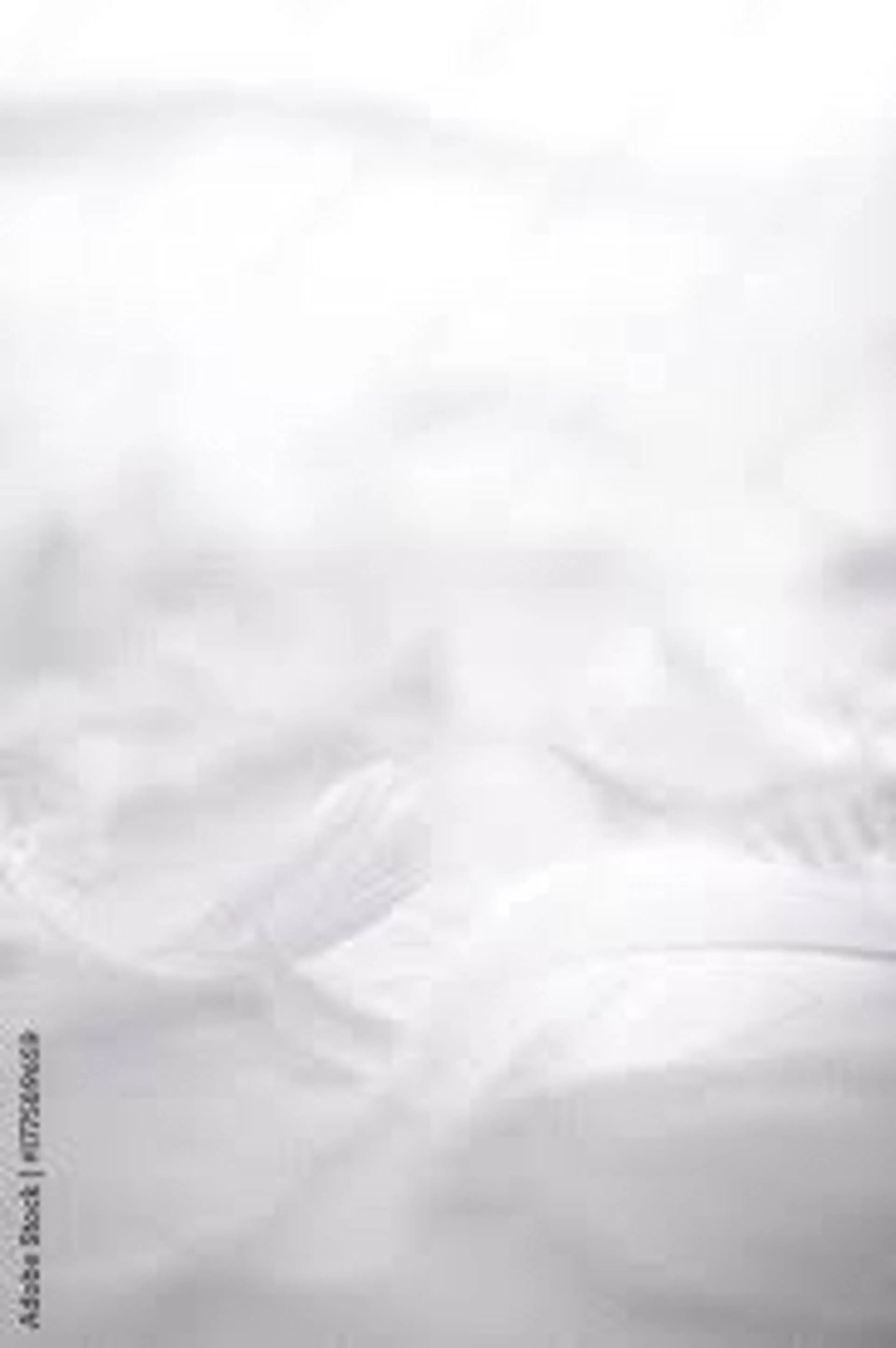 ネイル sui nailのネイルデザイン