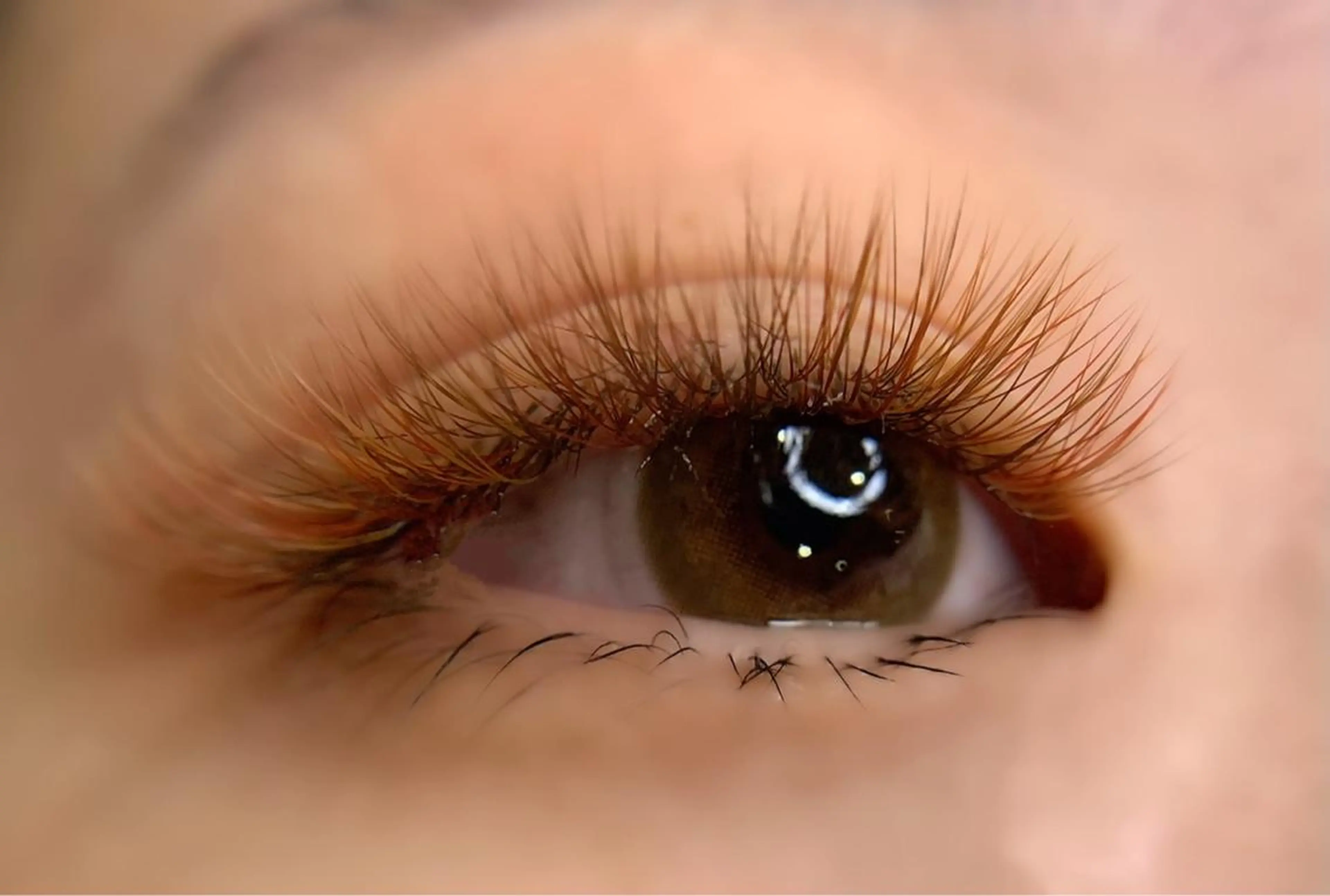 マツエク・マツパ Fameu+ HIMEKAのマツエク・マツパデザイン