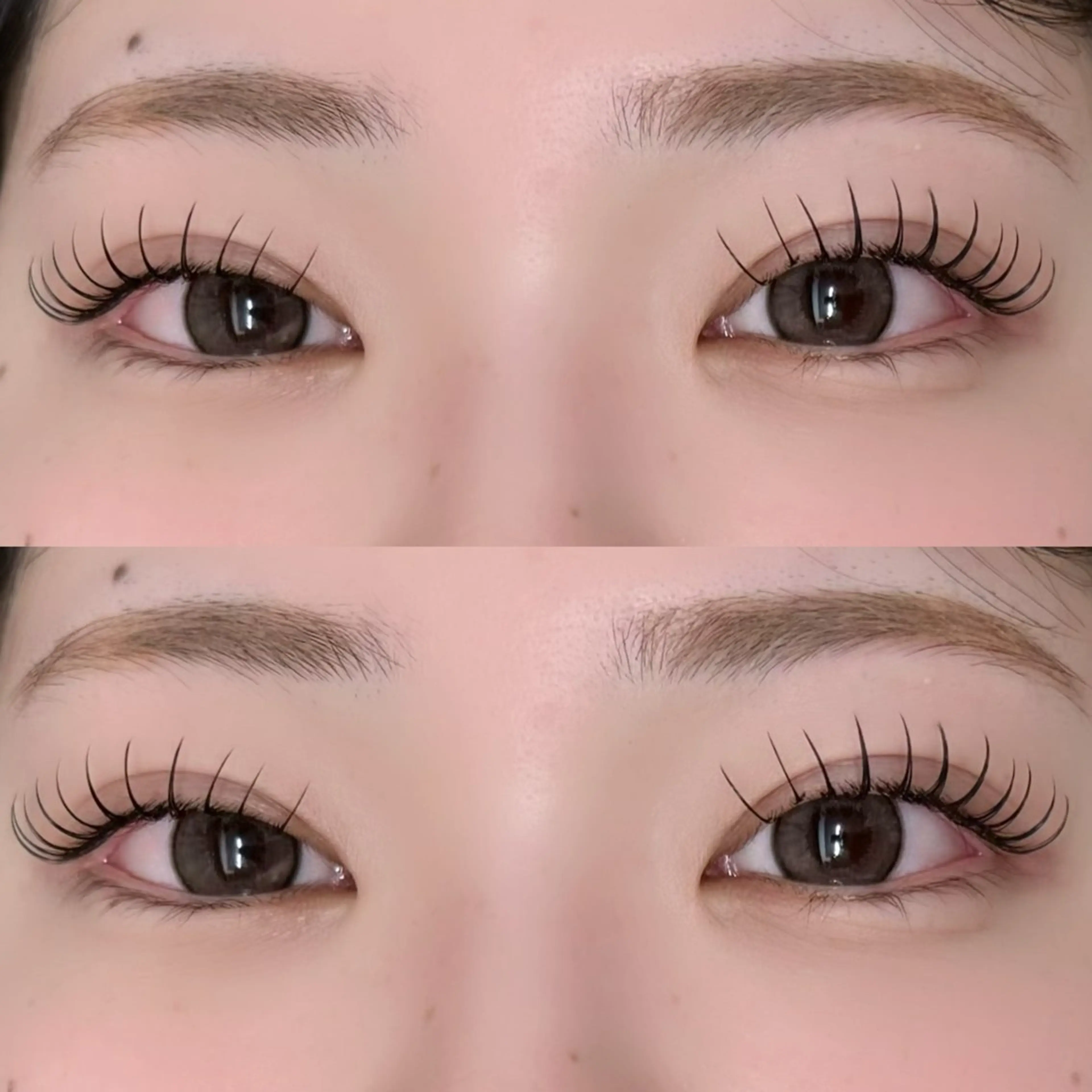 LEDマツエク♥L.LC.LDカール🪽80本の写真