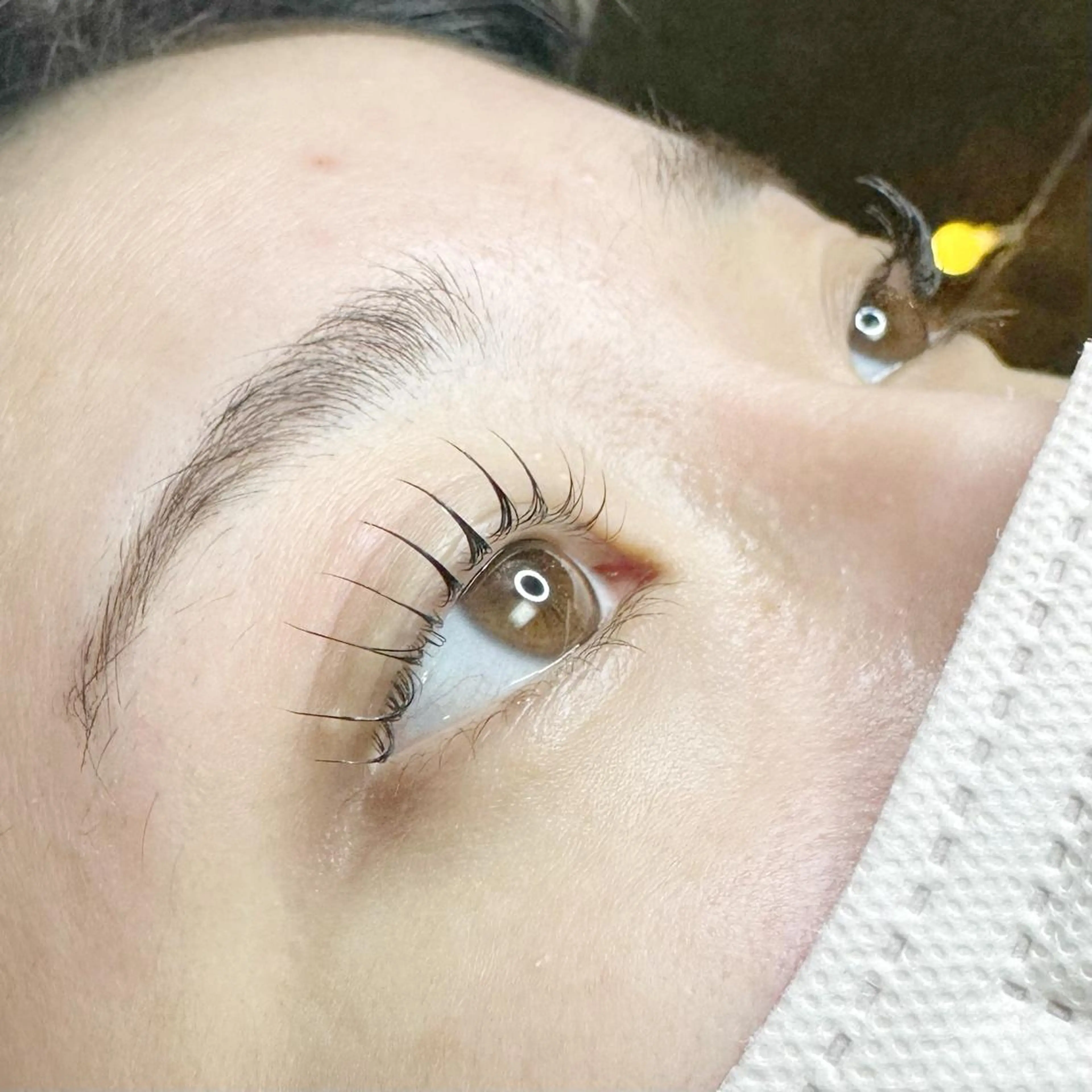 マツエク・マツパ マツパ 口コミ高評価⚡️ Wahf/Sotaのマツエク・マツパデザイン