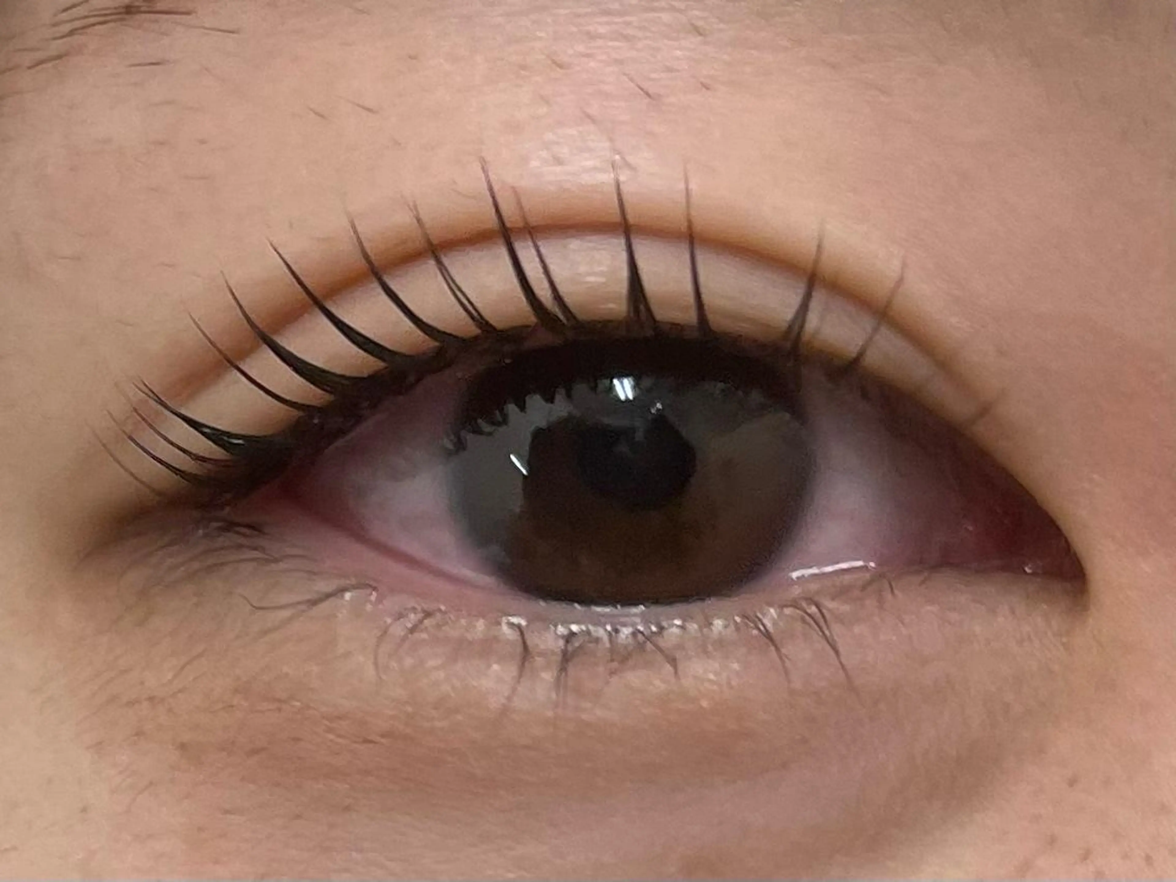 マツエク・マツパ アイラッシュ アトリエBONOのマツエク・マツパデザイン