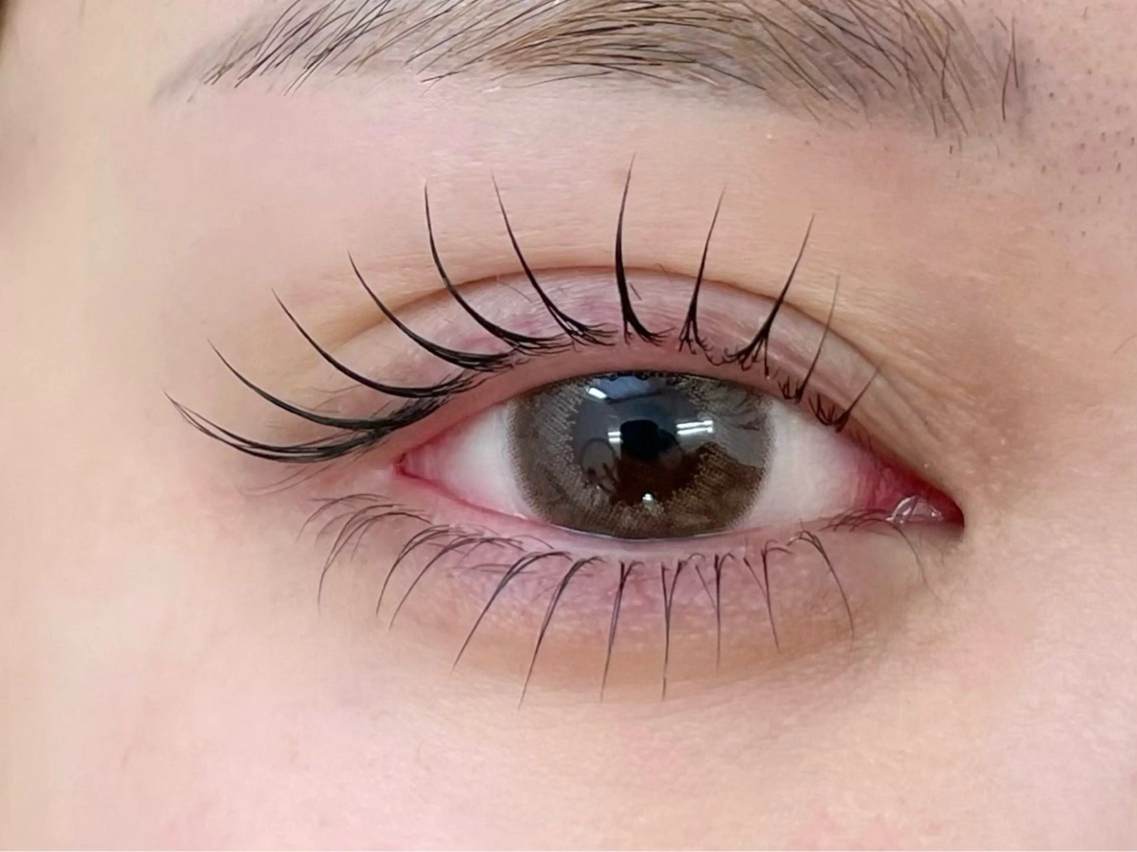 マツエク・マツパ まつ毛、眉毛 専門店🎀🐻のマツエク・マツパデザイン