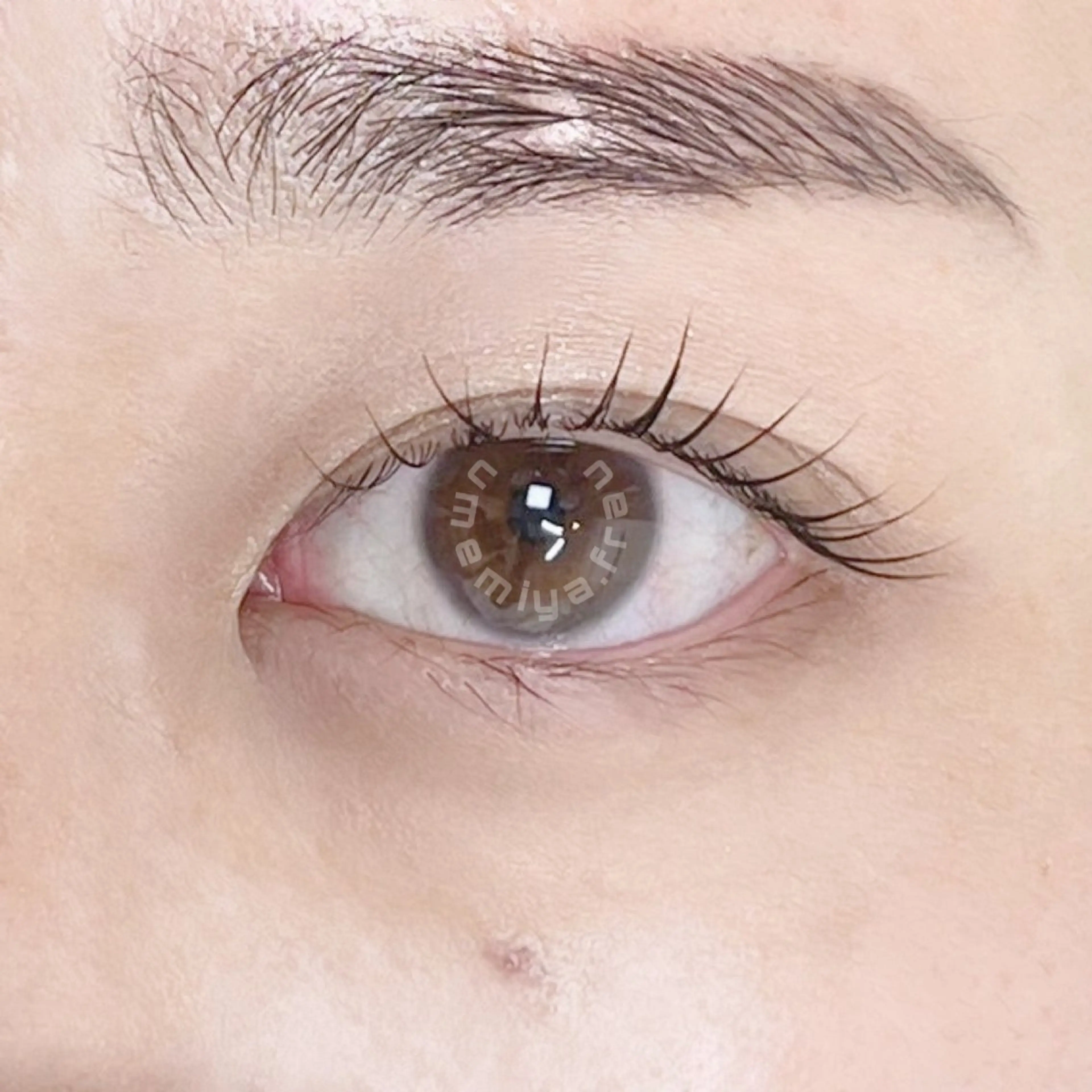 マツエク・マツパ Frau 梅宮のマツエク・マツパデザイン