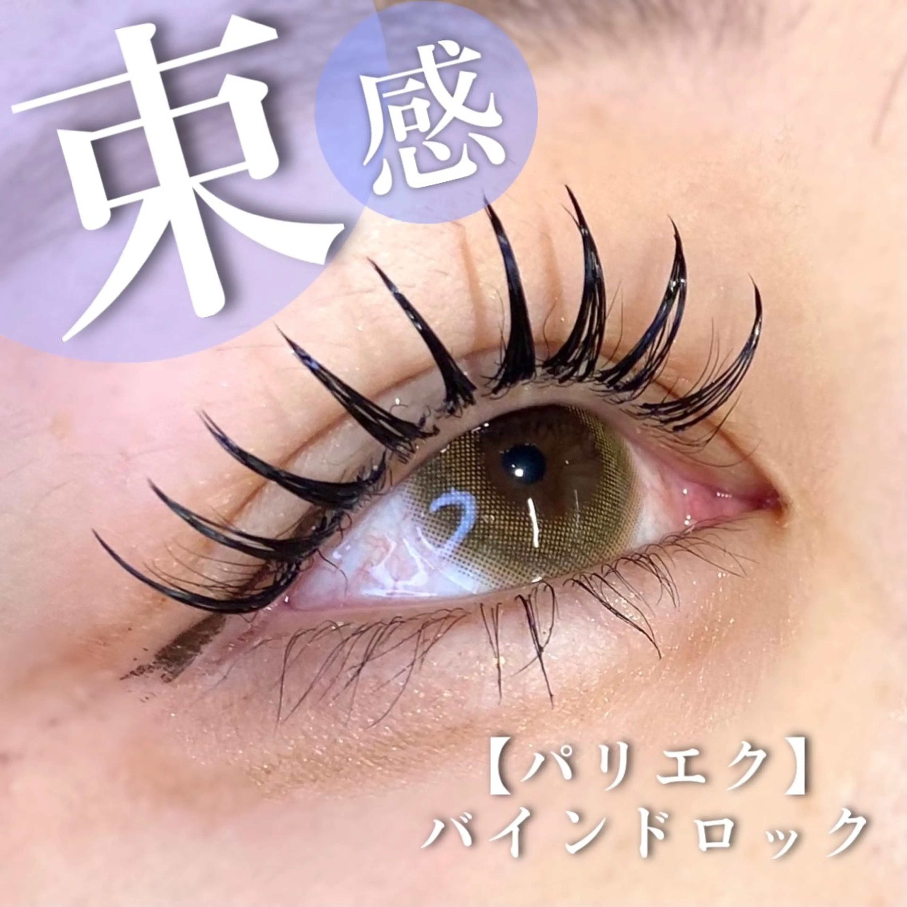 【パリエク】パリジェンヌラッシュリフト+バインドロック80束(シングル100〜120本程度の濃さ)の写真