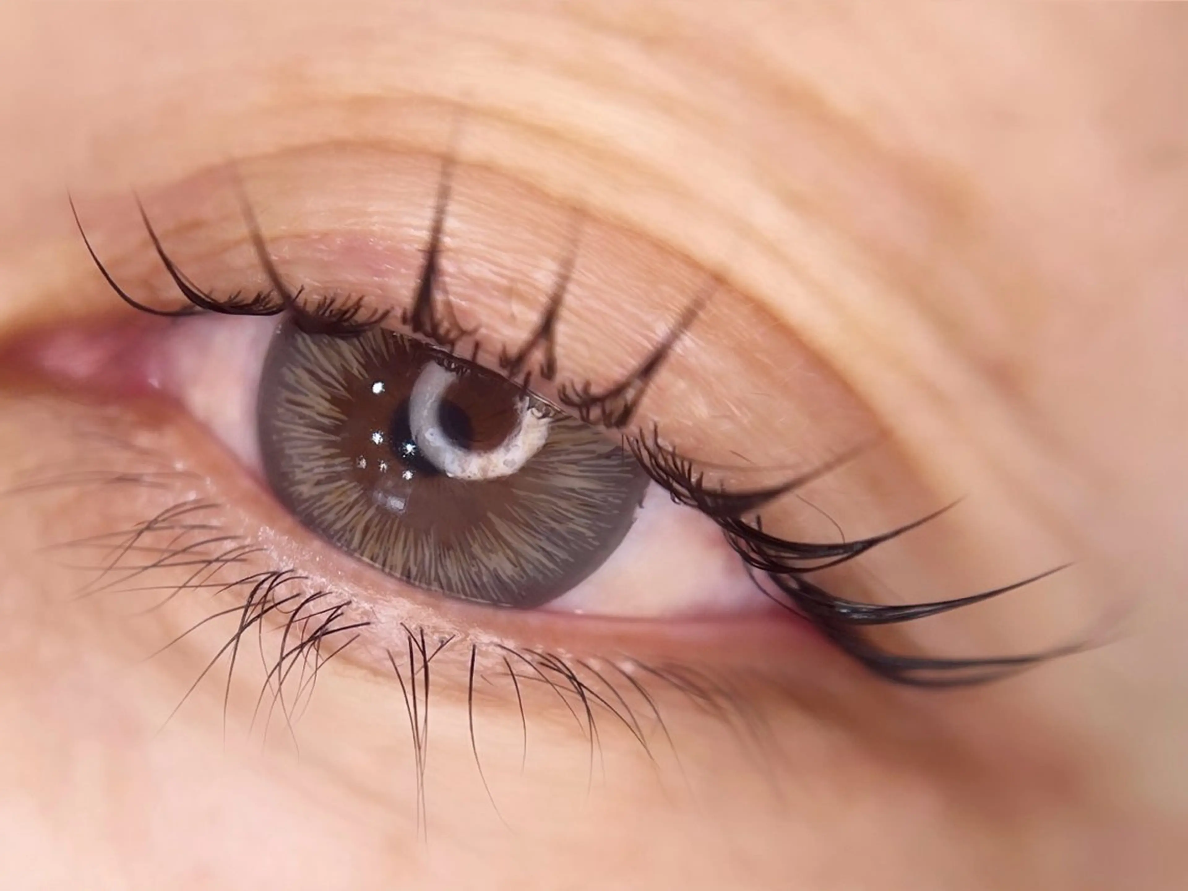 マツエク・マツパ ナチュラル まつげパーマ Liyone 橋本のマツエク・マツパデザイン