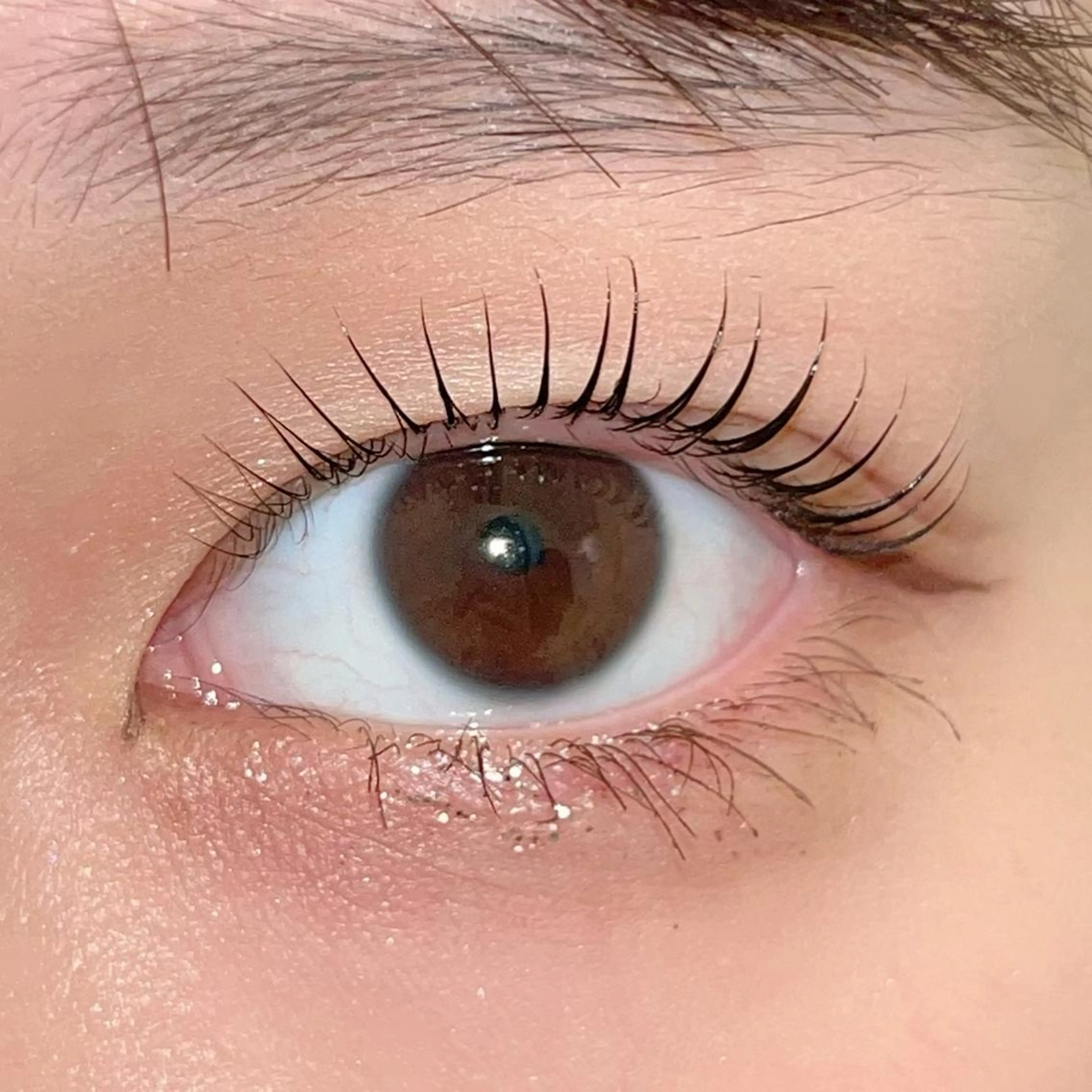 マツエク・マツパ パリジェンヌラッシュリフト まつげパーマ ai一重専門🎀束感 まつげ🫧表参道のマツエク・マツパデザイン