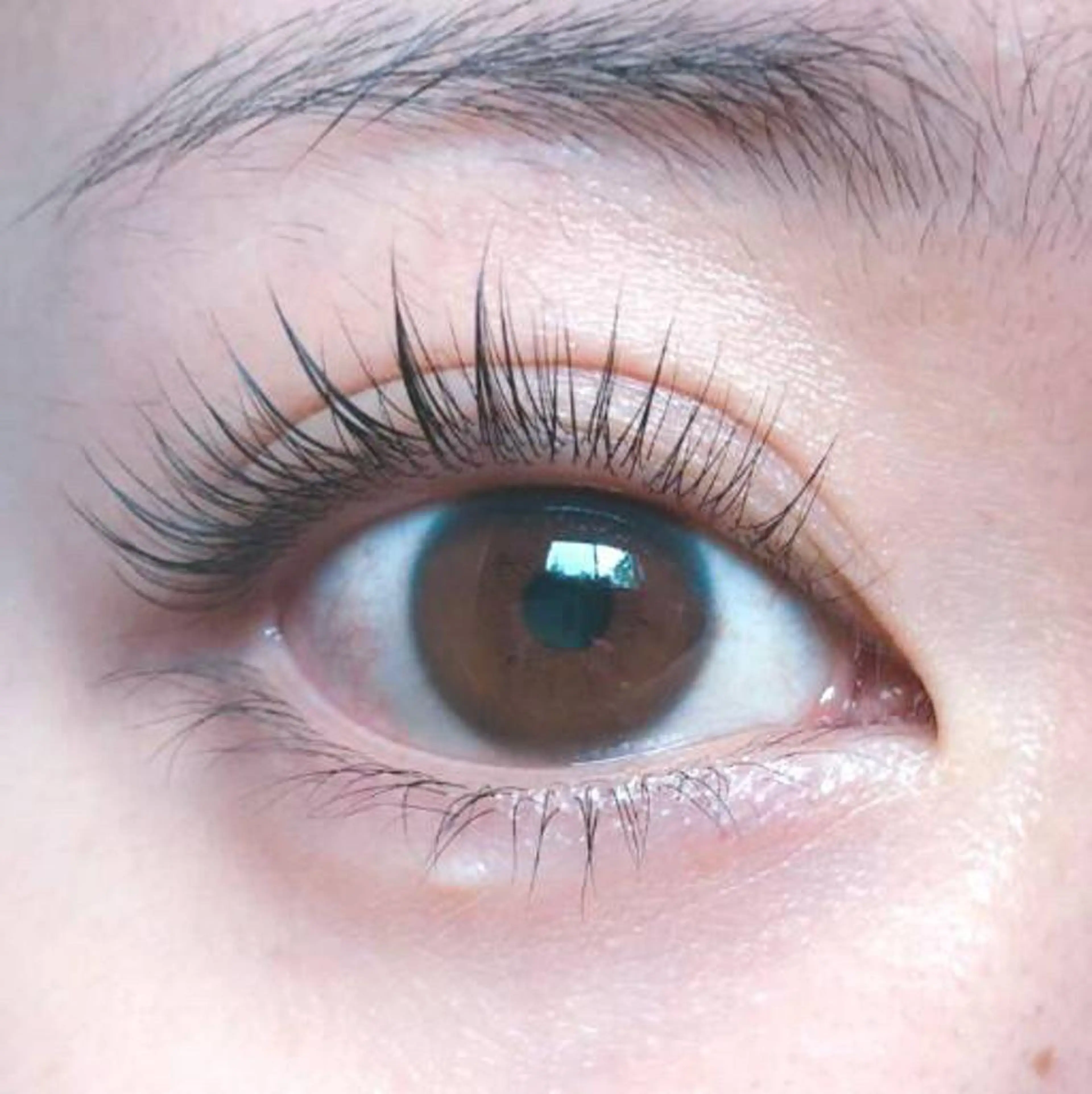 マツエク・マツパ eyelash bellaのマツエク・マツパデザイン