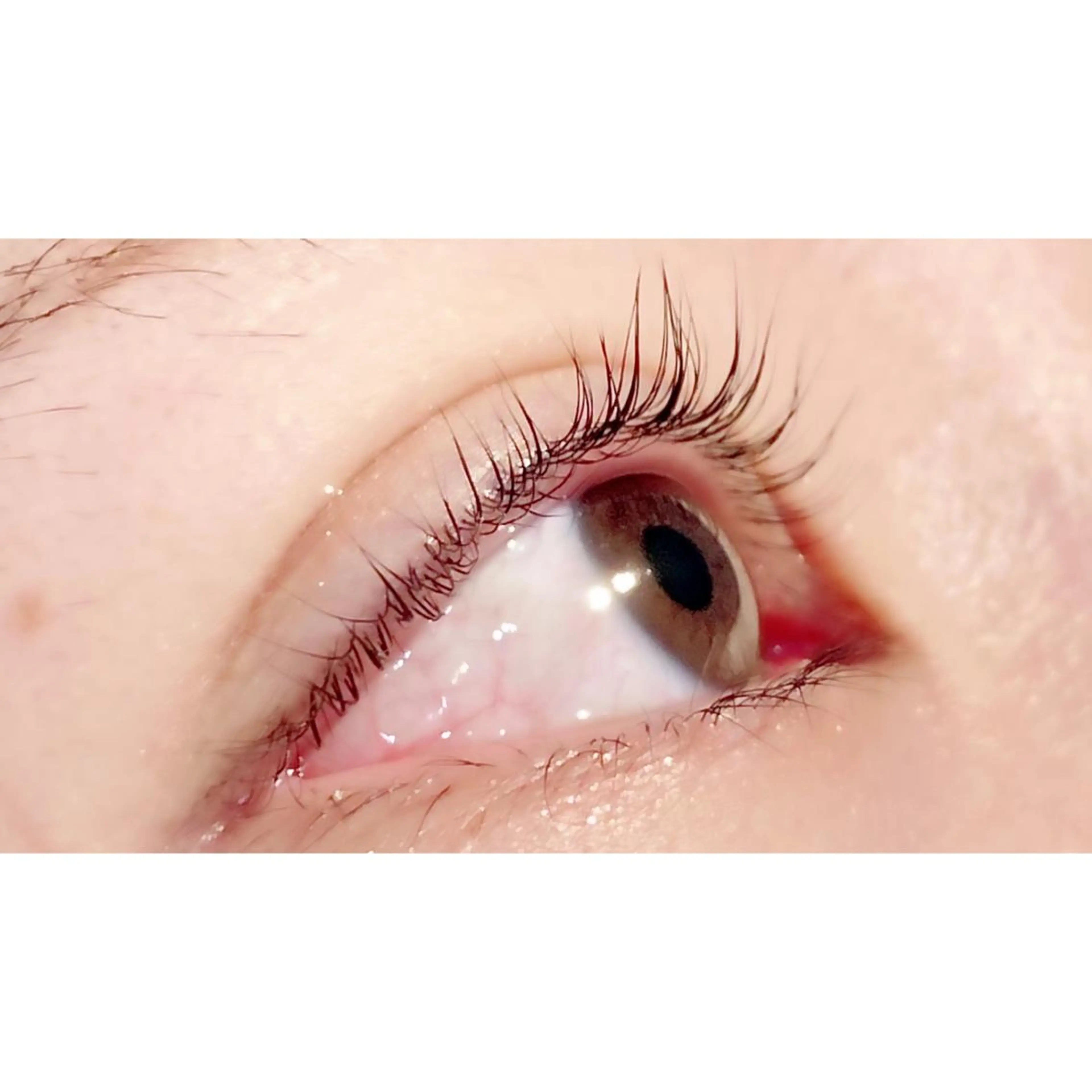 マツエク・マツパ パリジェンヌラッシュリフト Bianca 長津田店　長牛の眉毛・アイブロウイメージ