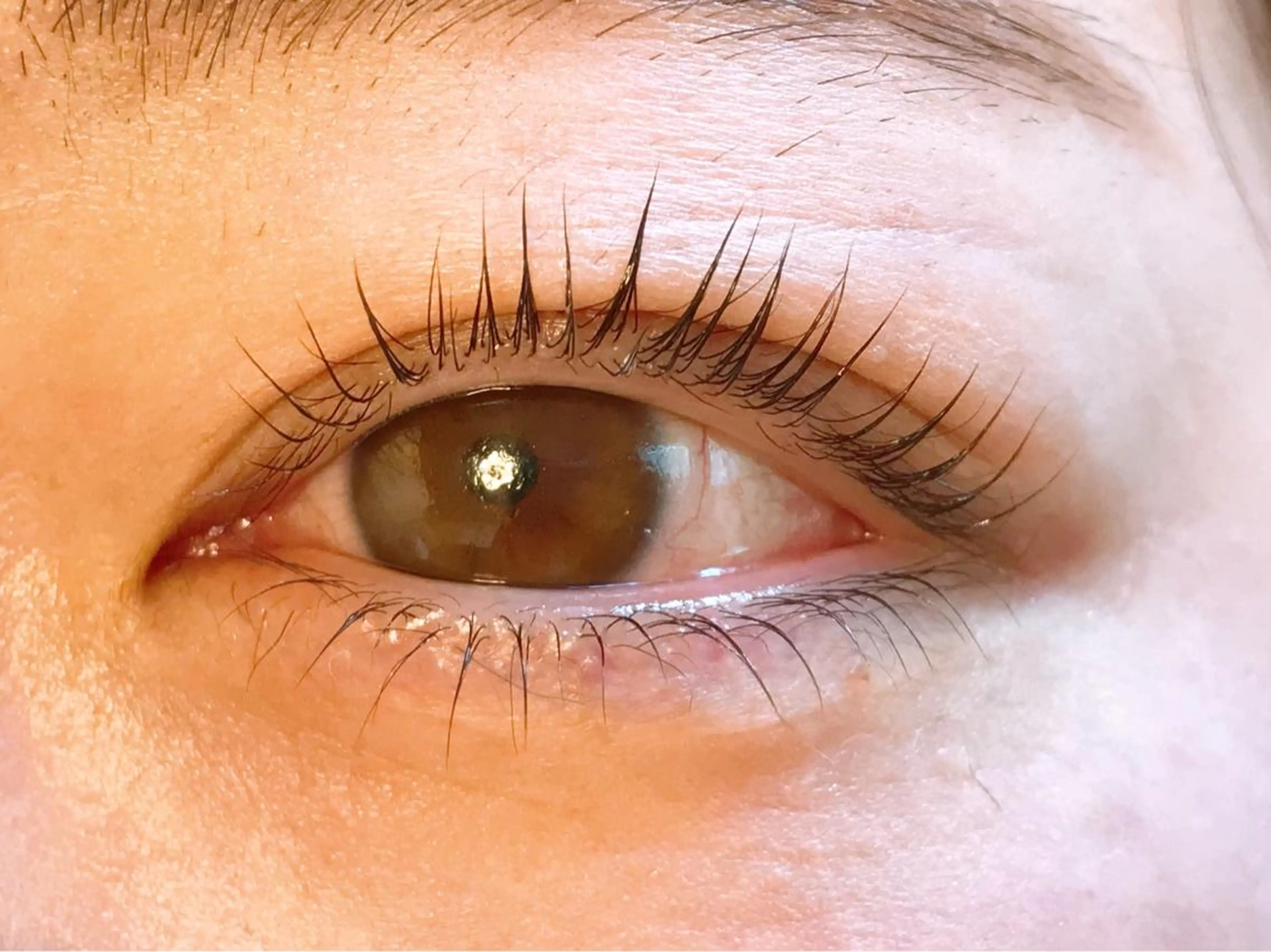 マツエク・マツパ tia belのマツエク・マツパデザイン