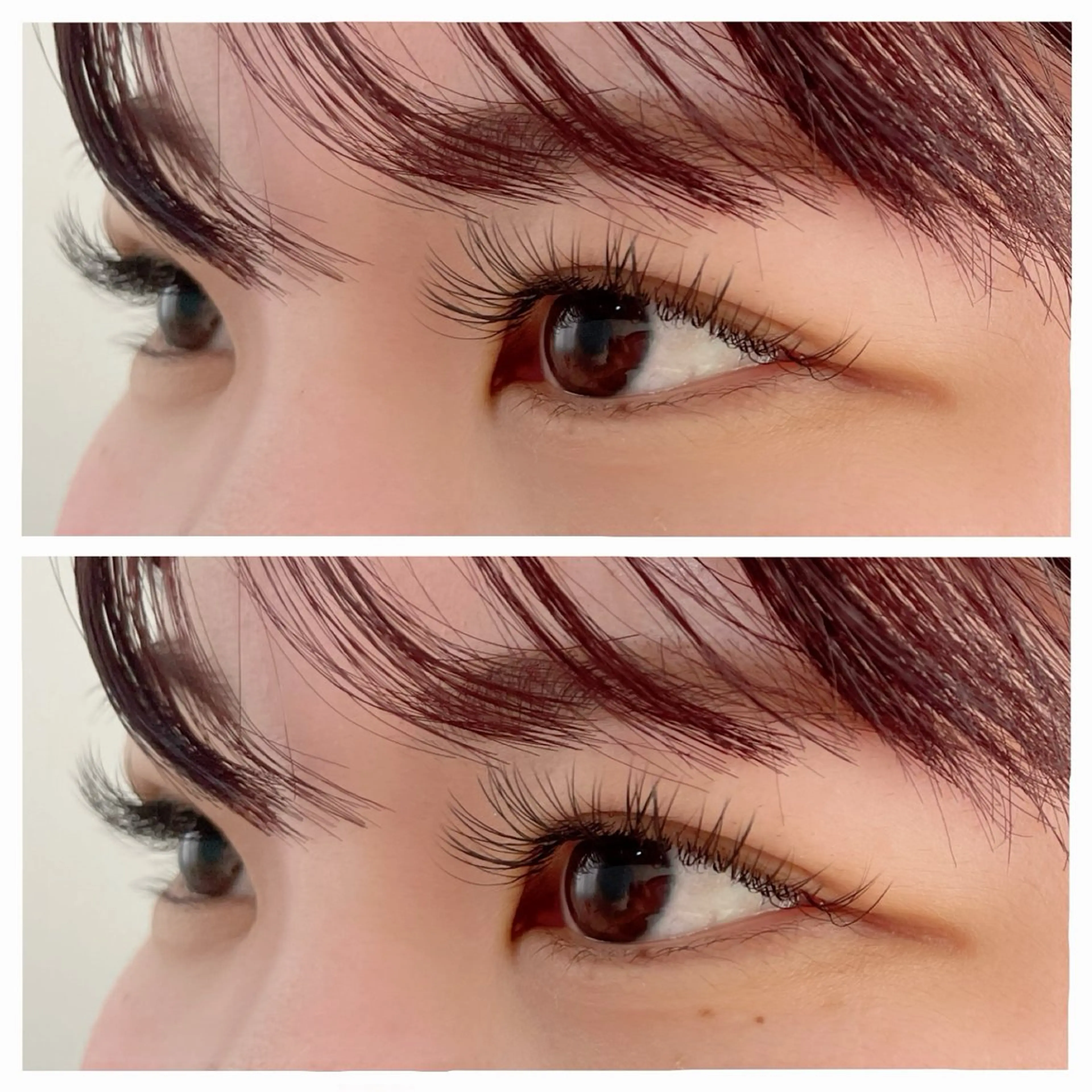 マツエク・マツパ フラットラッシュ Lカール REVE ｡+*.゜ 塩野晴香のマツエク・マツパデザイン