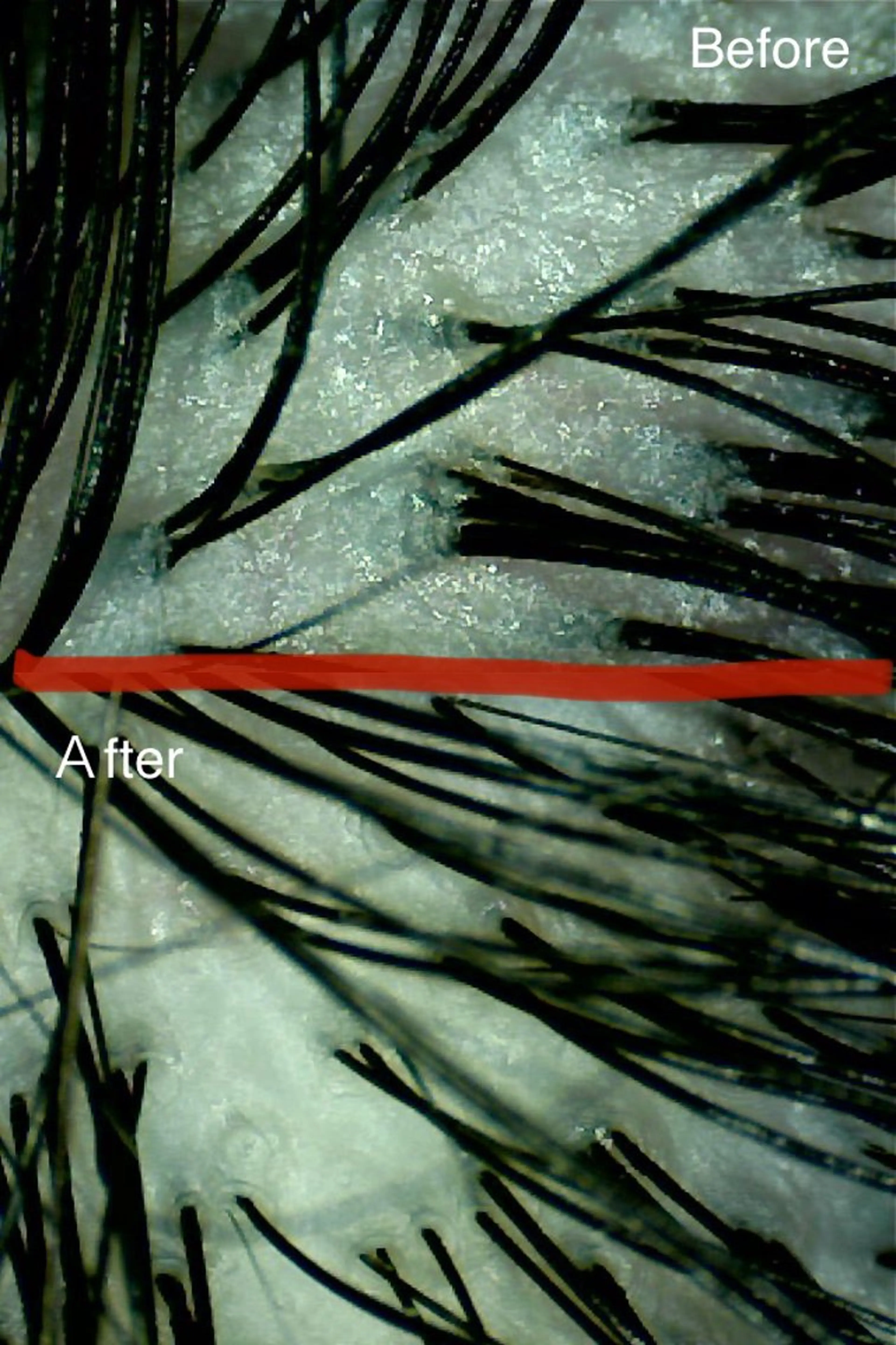 ✨デトックス職人✨ To-Hiらぼのヘアスタイル