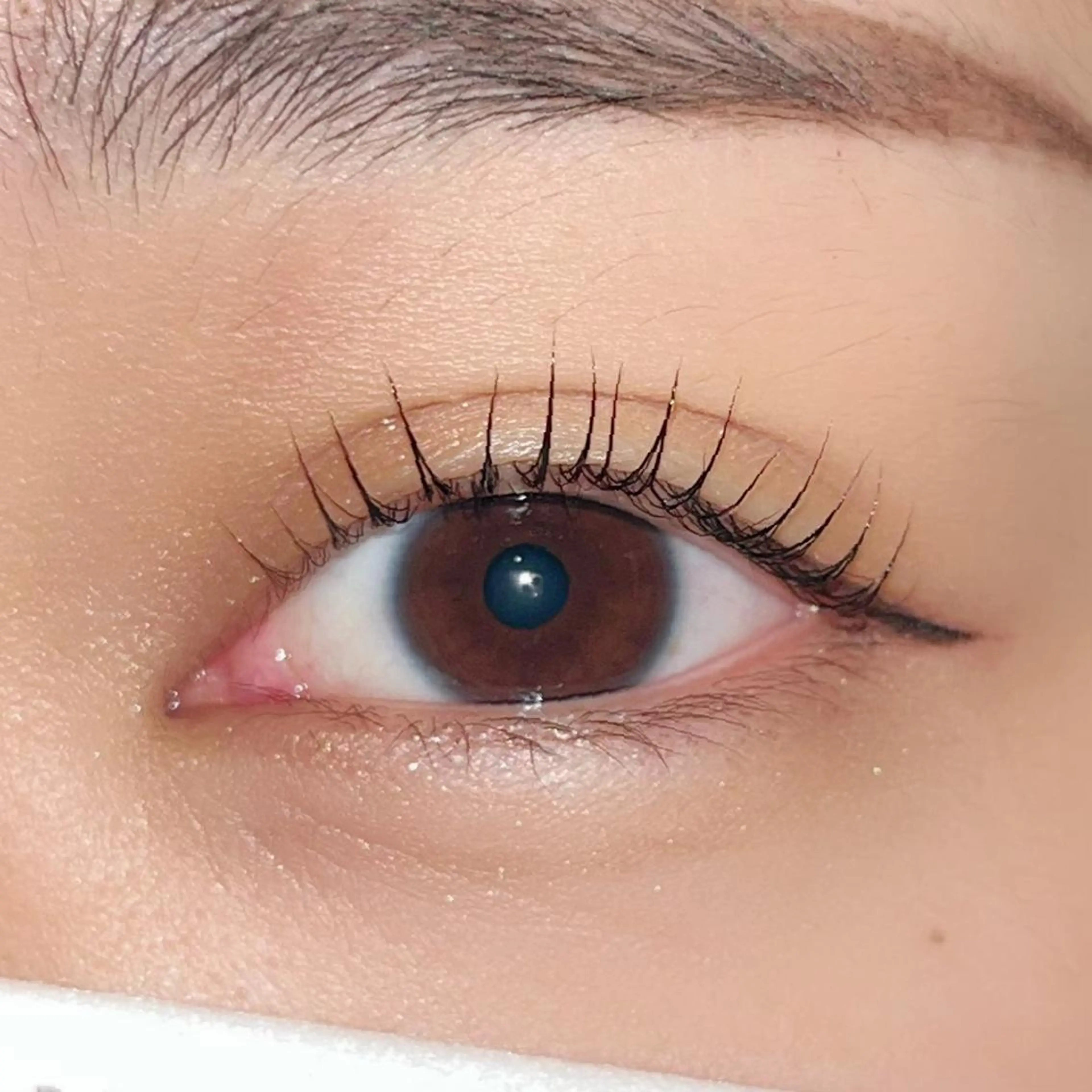 マツエク・マツパ パリジェンヌラッシュリフト まつげパーマ ai一重専門🎀束感 まつげ🫧表参道のマツエク・マツパデザイン