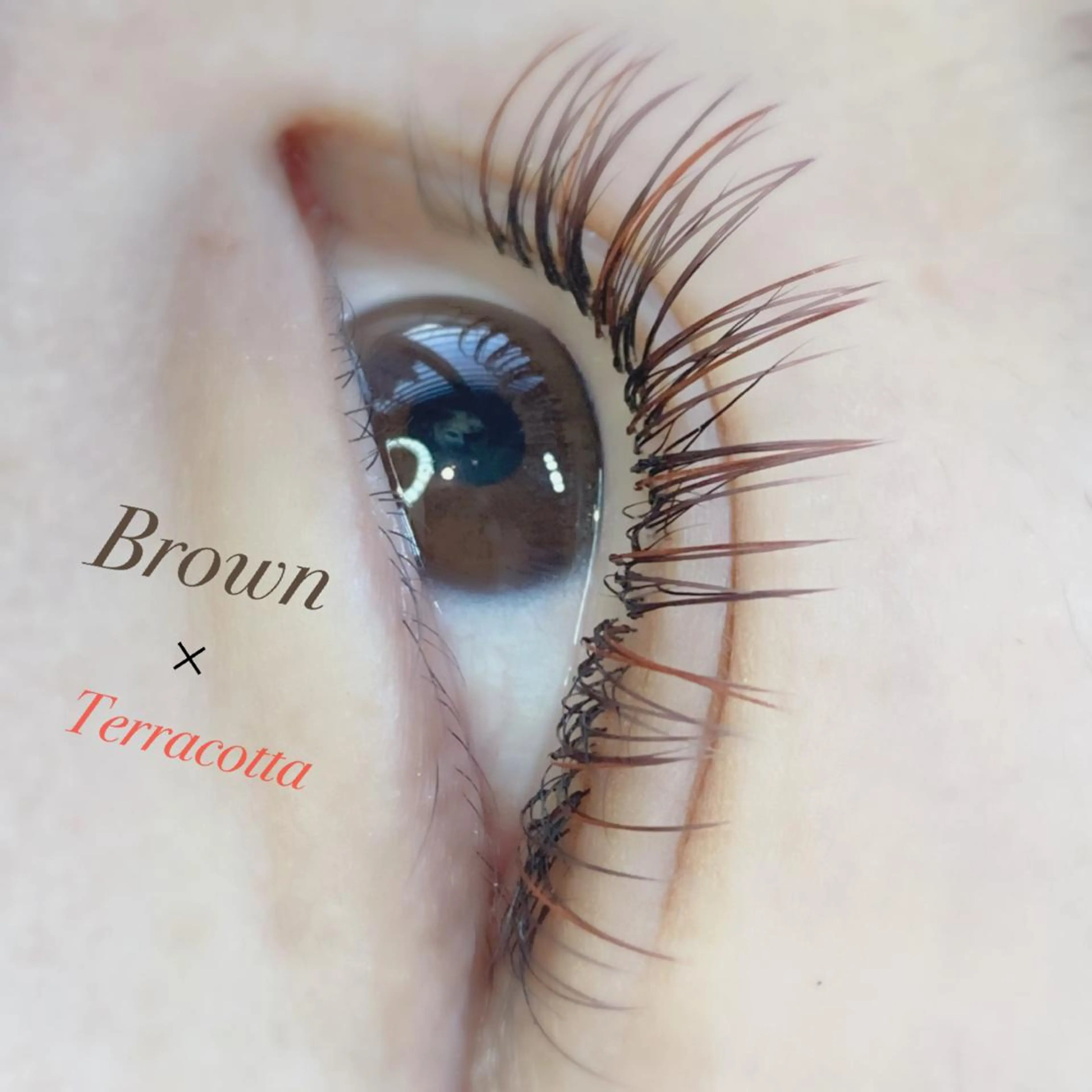 [ご新規様~2回目の方限定✨]👀マツエク140本まで(最高級セーブル)(毛質変更⭕️)の写真