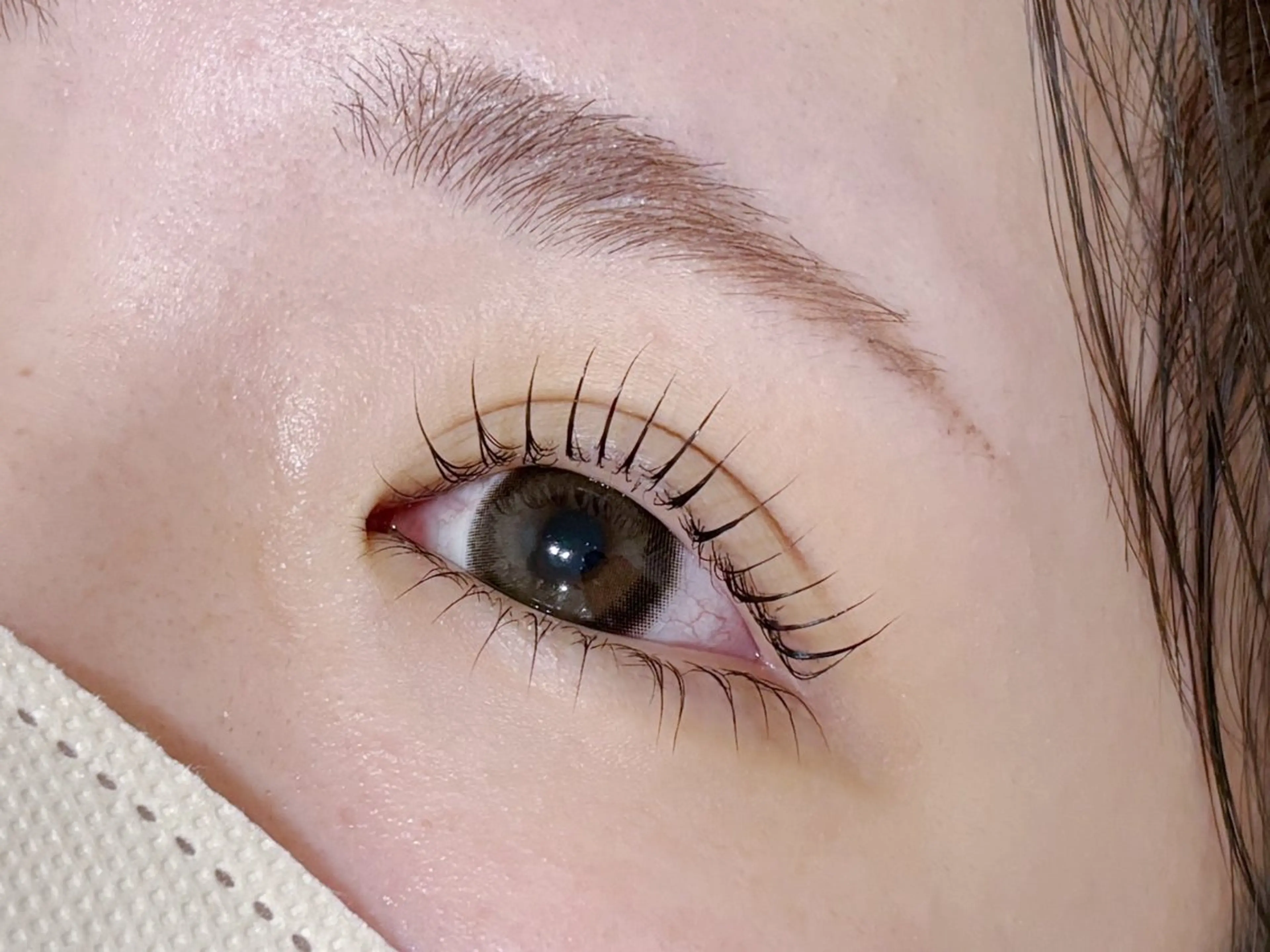 【初回限定】パリジェンヌ🎀¥4000の写真