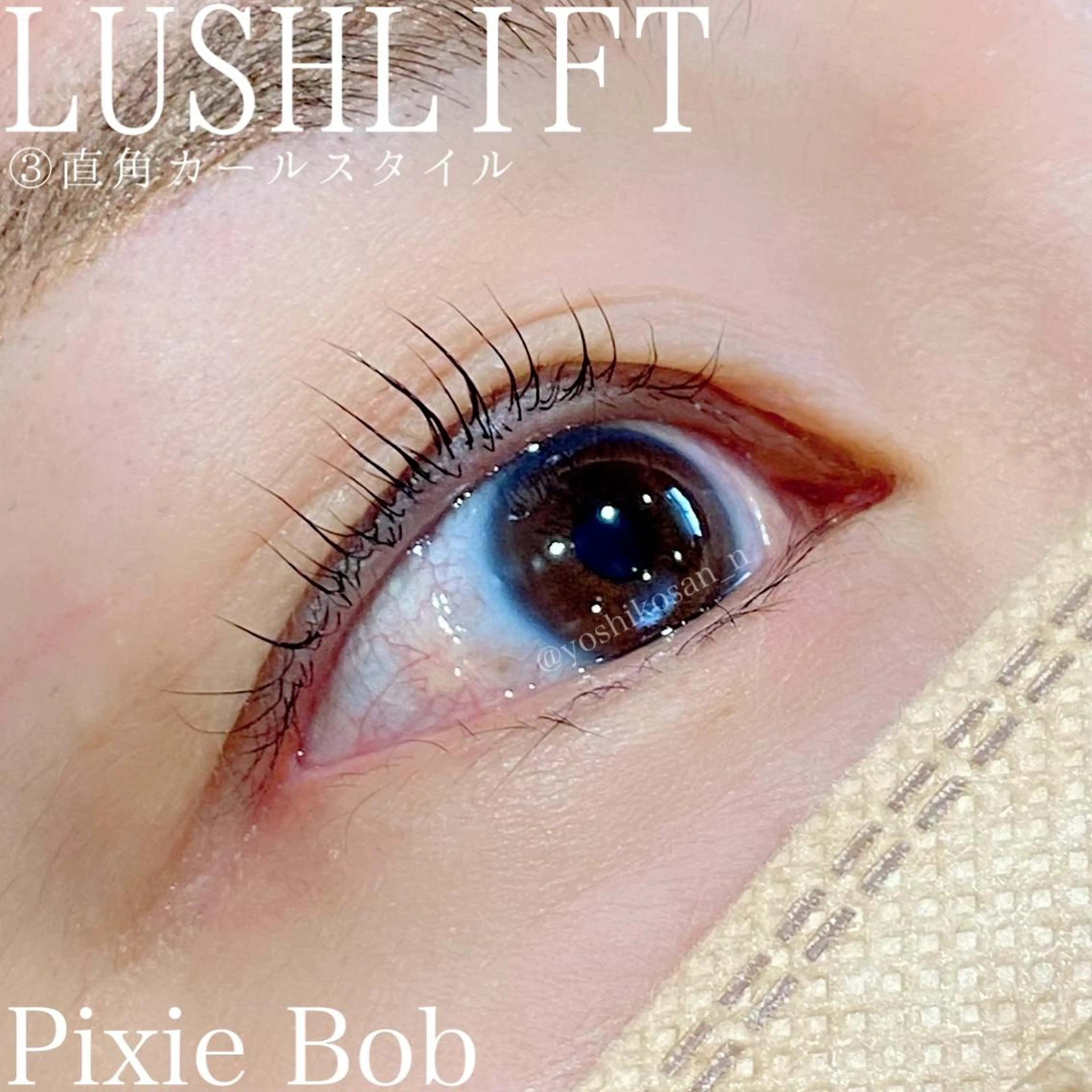 マツエク・マツパ カラーマツエク Pixie Bob 🐈‍⬛　位田のマツエク・マツパデザイン