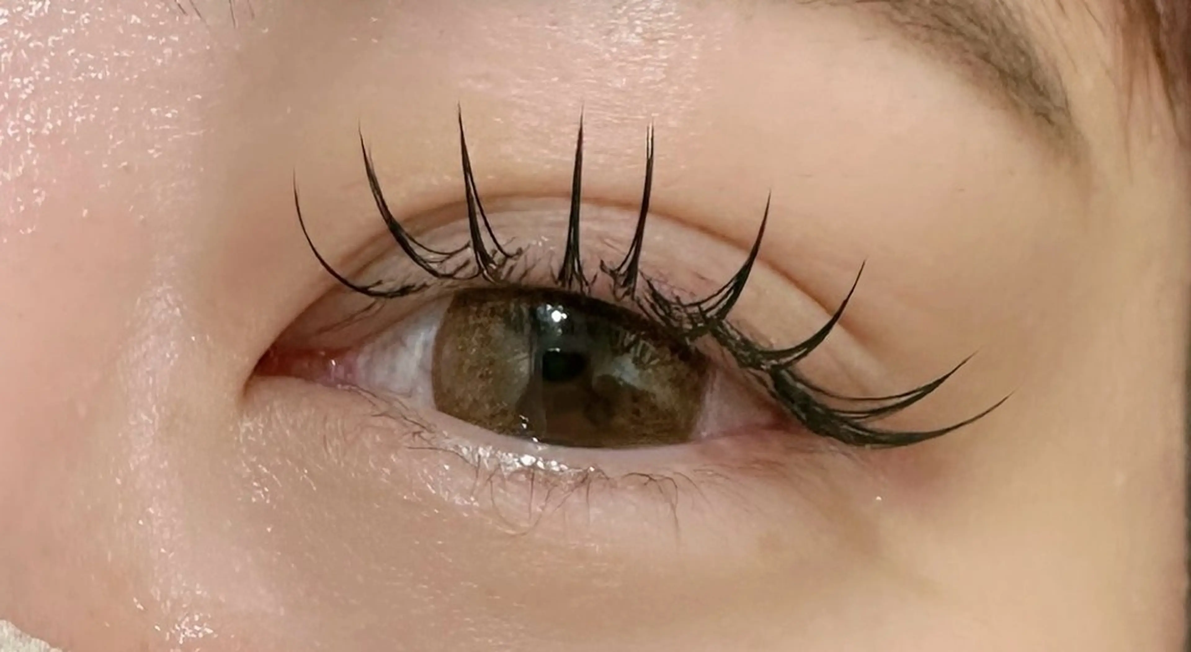 フラットラッシュ140本の写真