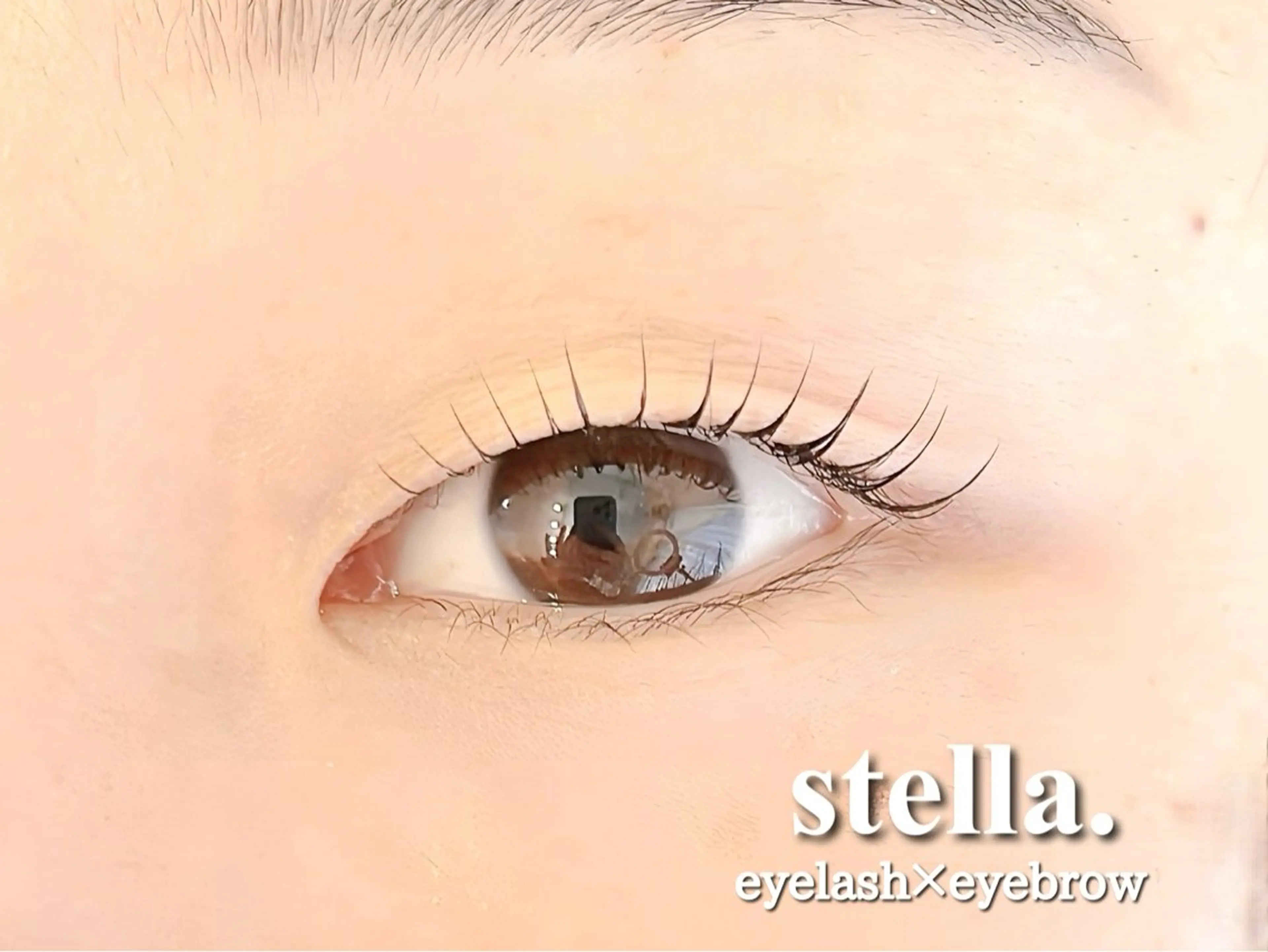 マツエク・マツパ Stella eyelashのマツエク・マツパデザイン