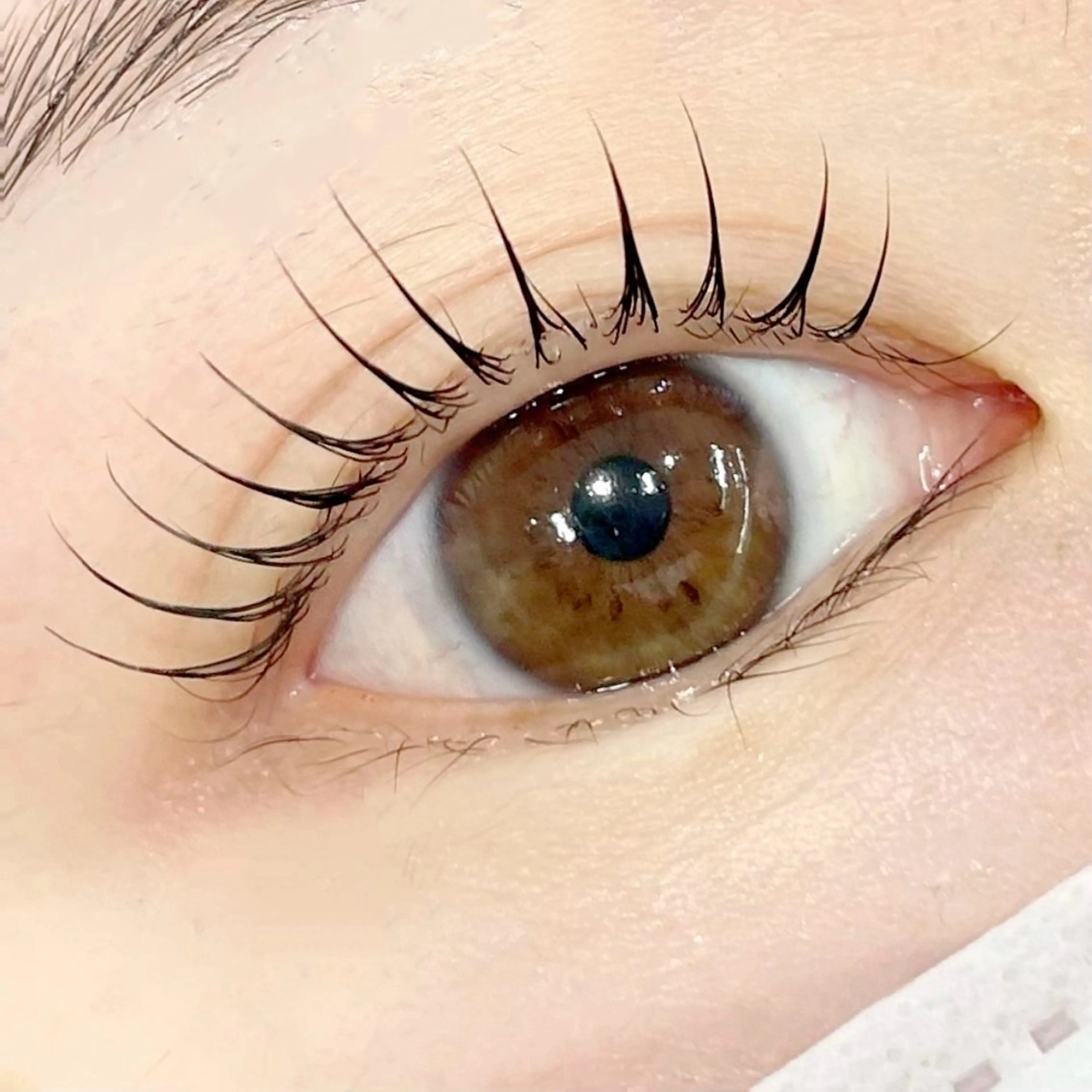 マツエク・マツパ yoko 𓂃個室サロン𓂃のマツエク・マツパデザイン