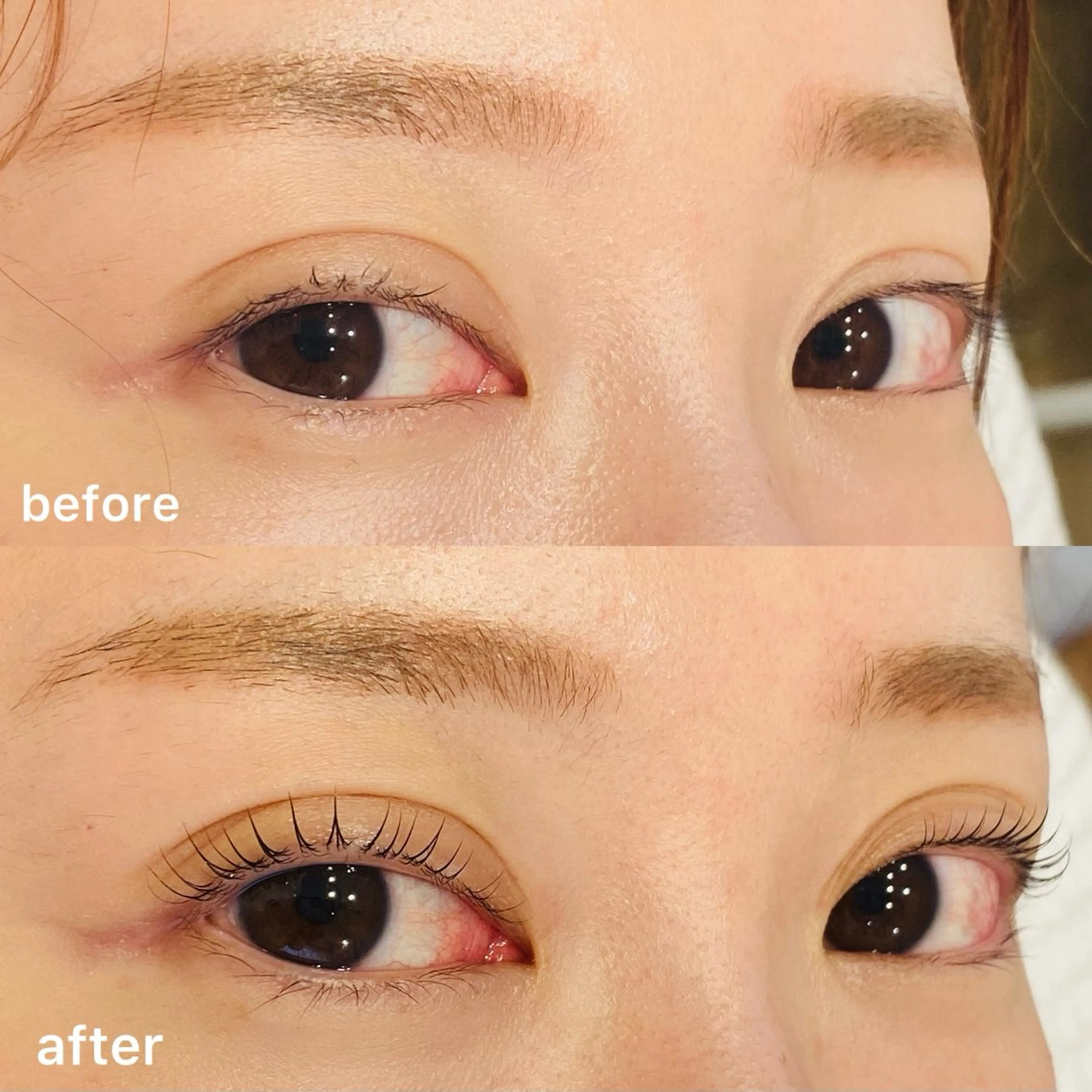 【学割U24】まつげパーマ＋眉毛アイブロウWAX￥10,600の写真