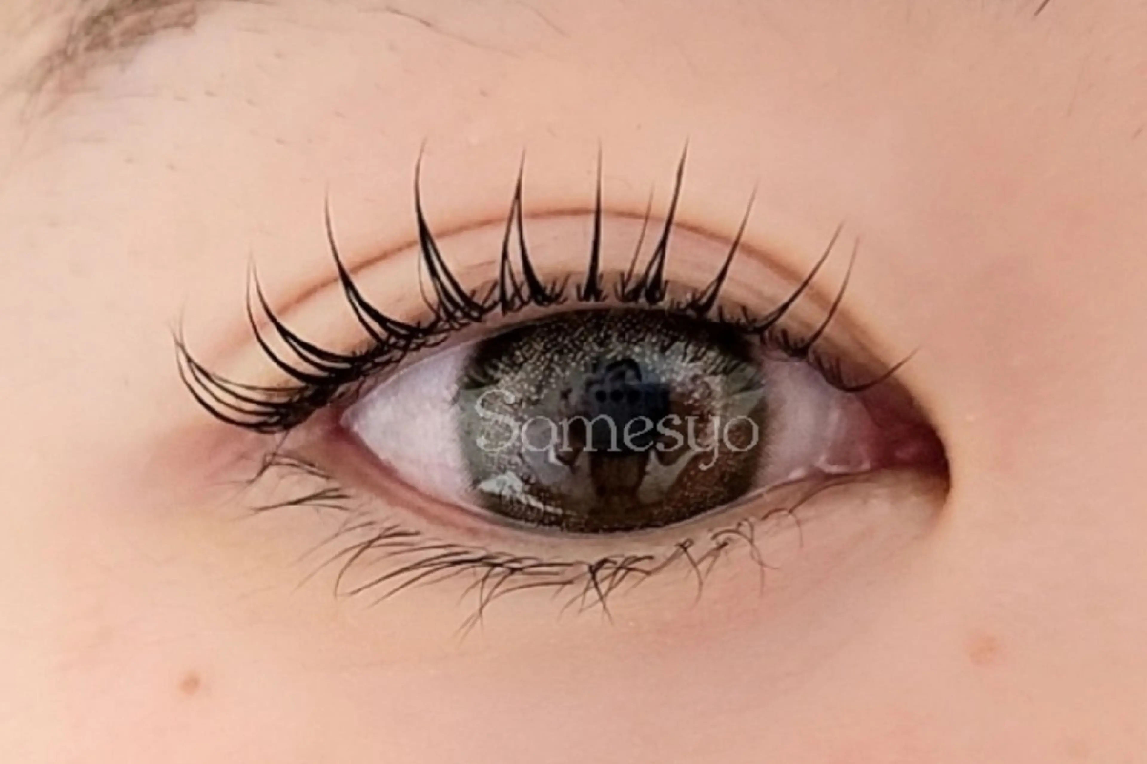 まつげパーマの写真