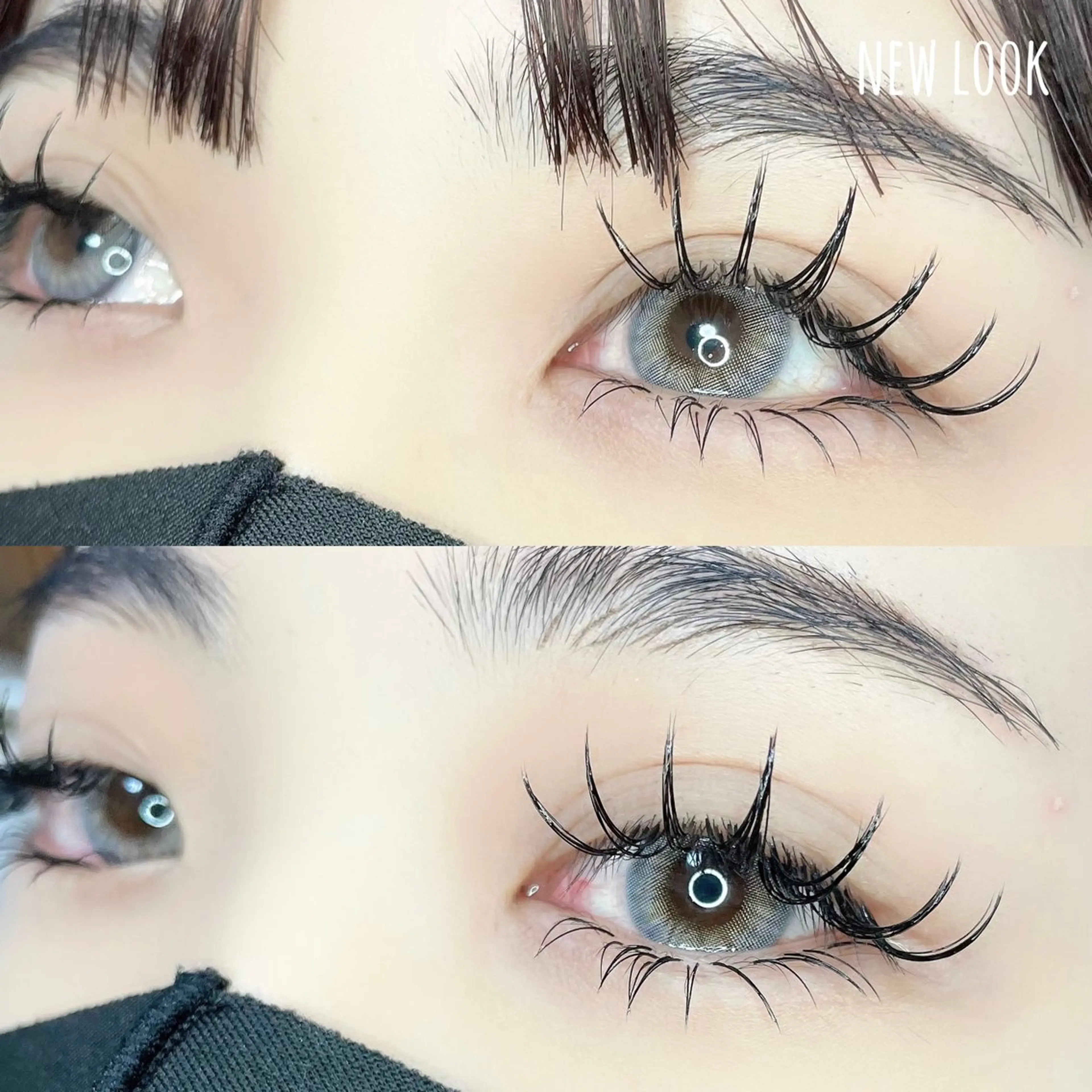 マツエク・マツパ Dカール セーブル 下まつげエクステ マツエク NEW LOOKのマツエク・マツパデザイン