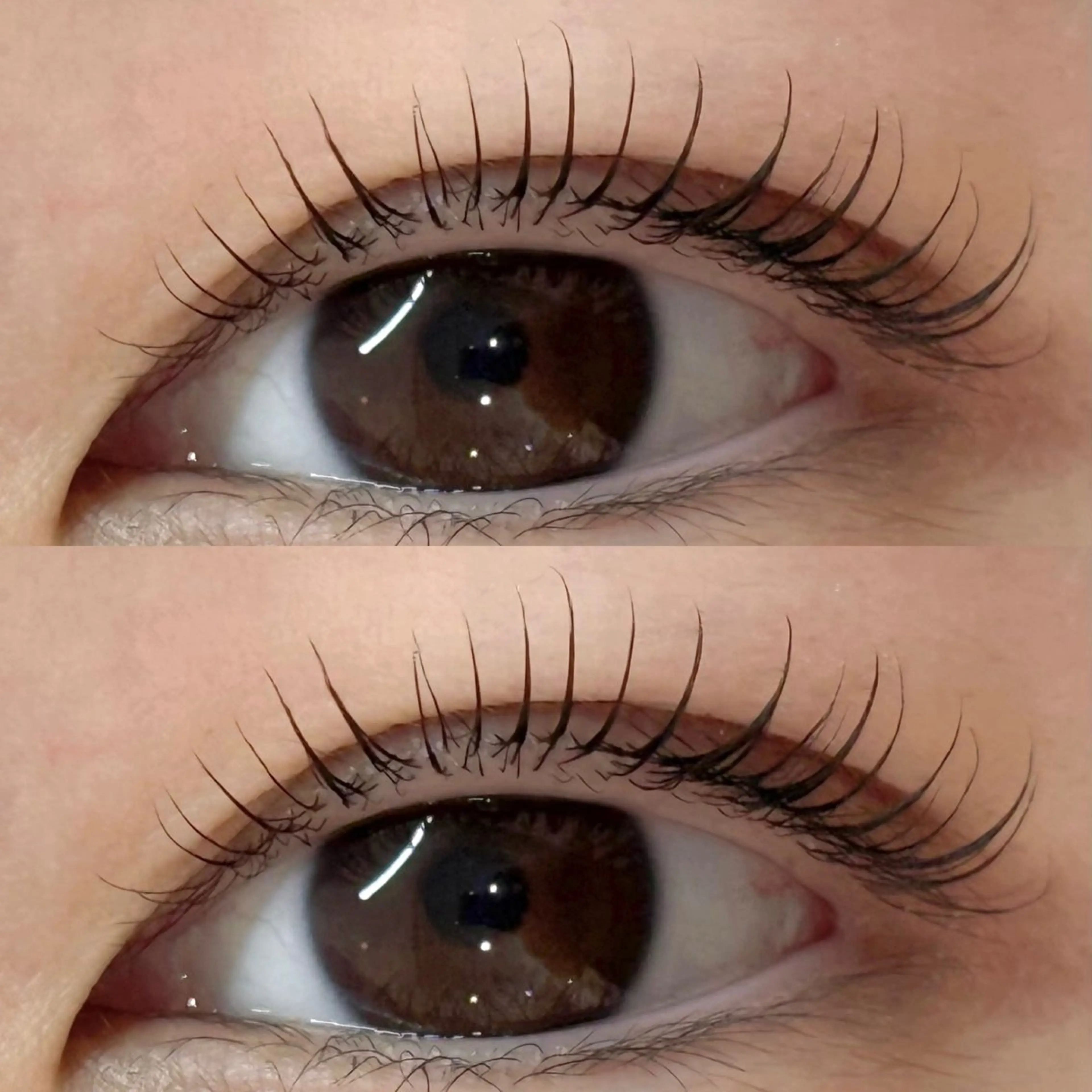 マツエク・マツパ M🐰 上本町/谷九のマツエク・マツパデザイン