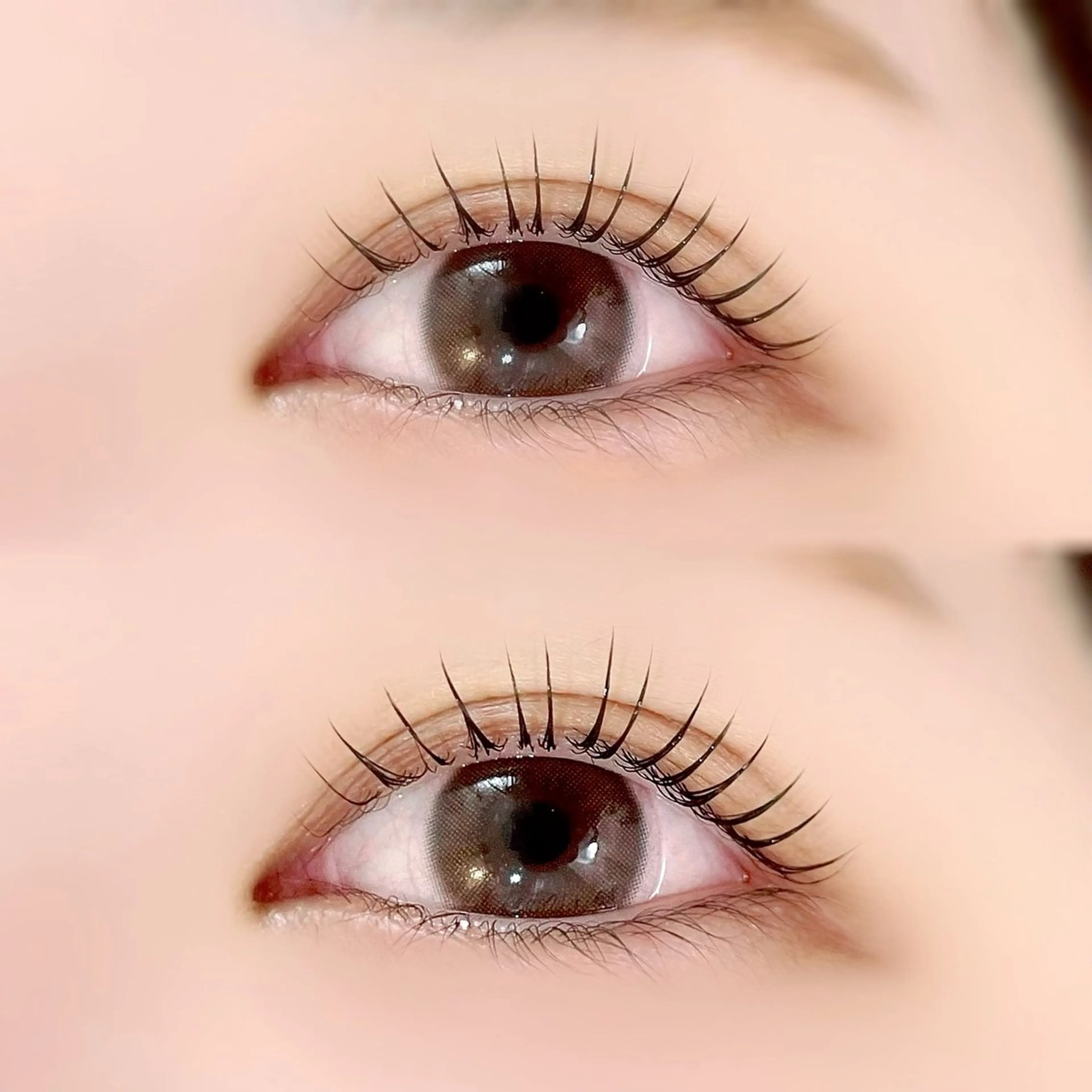 【既存のお客様】 まつ毛パーマ🐱(5/9~5/21研修のためお休みです⭐️)の写真