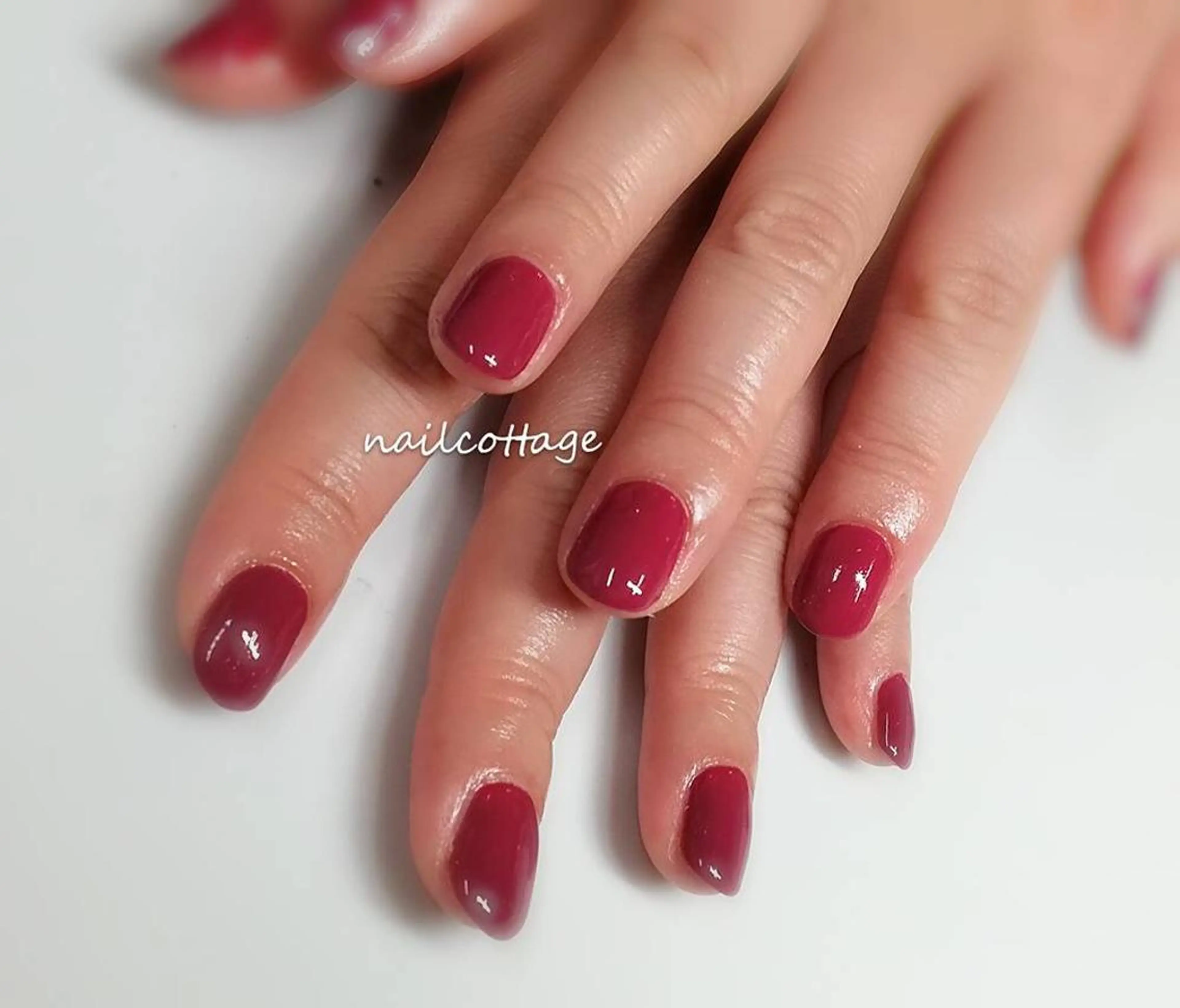 ネイル フレンチネイル グラデーション ワンカラーネイル Nail cottageのネイルデザイン
