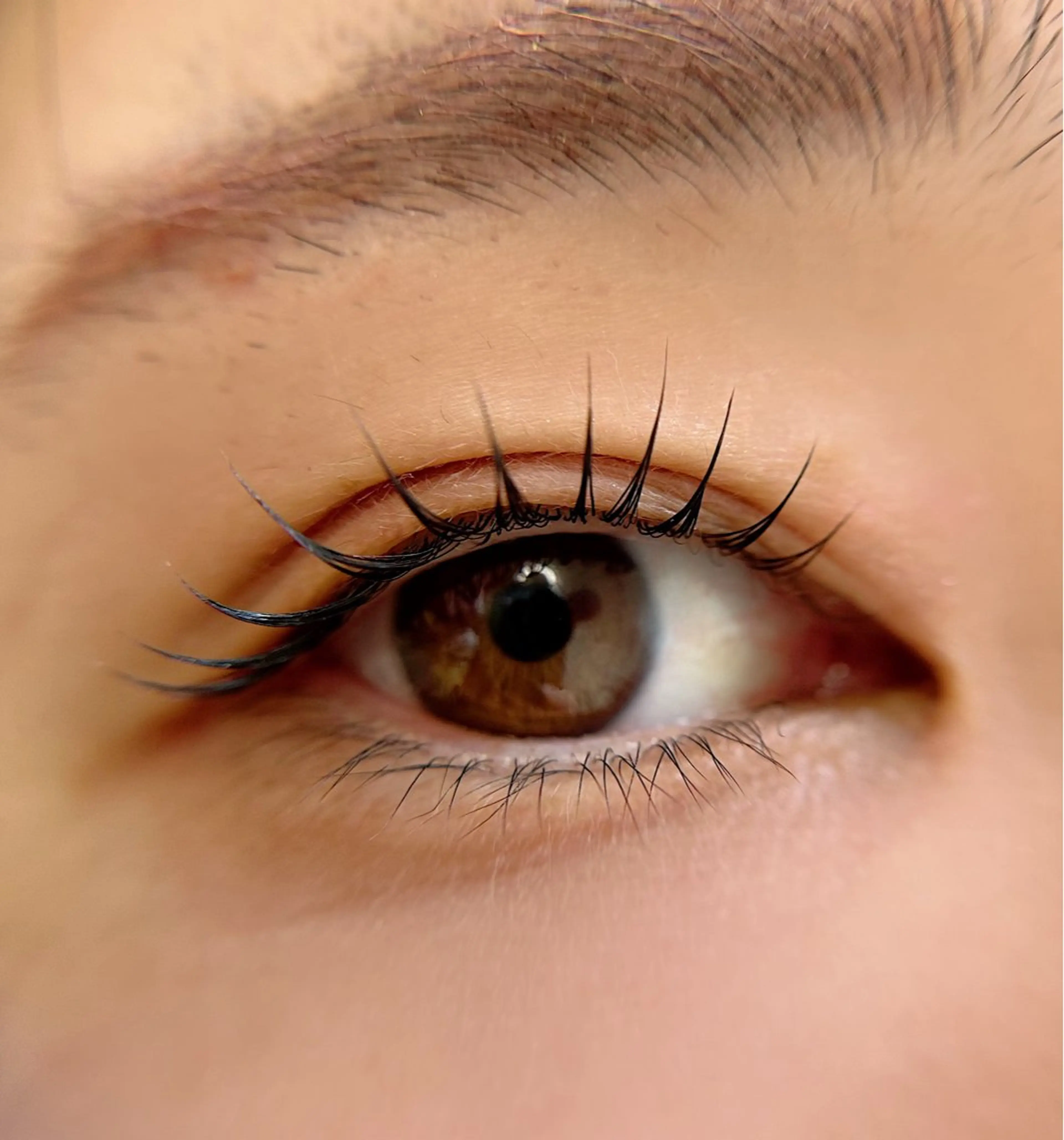 マツエク・マツパ 一重×まつ毛パーマ マツパ Citrine eyelash ✿のマツエク・マツパデザイン