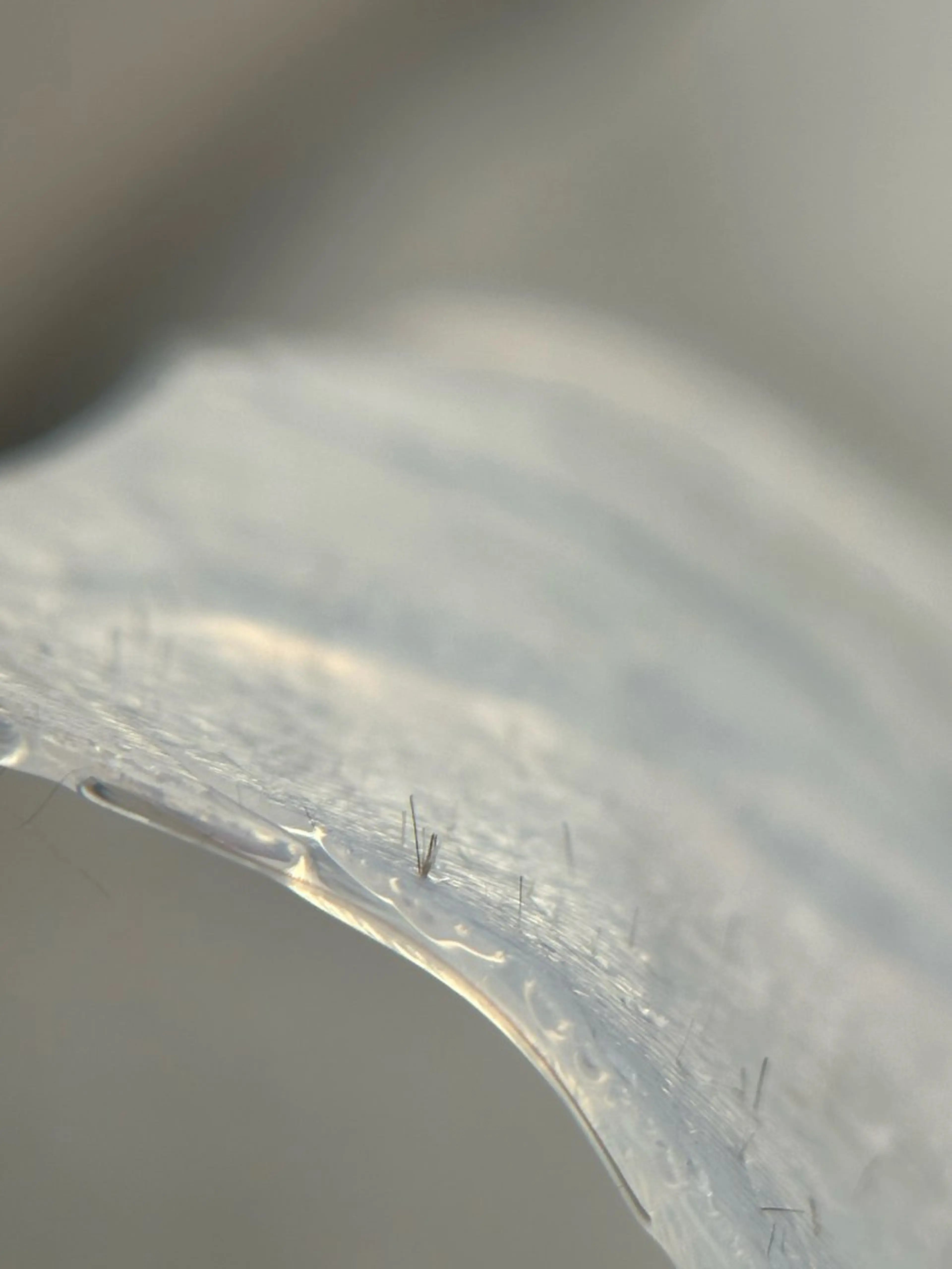 gift あすかのマツエク・マツパデザイン