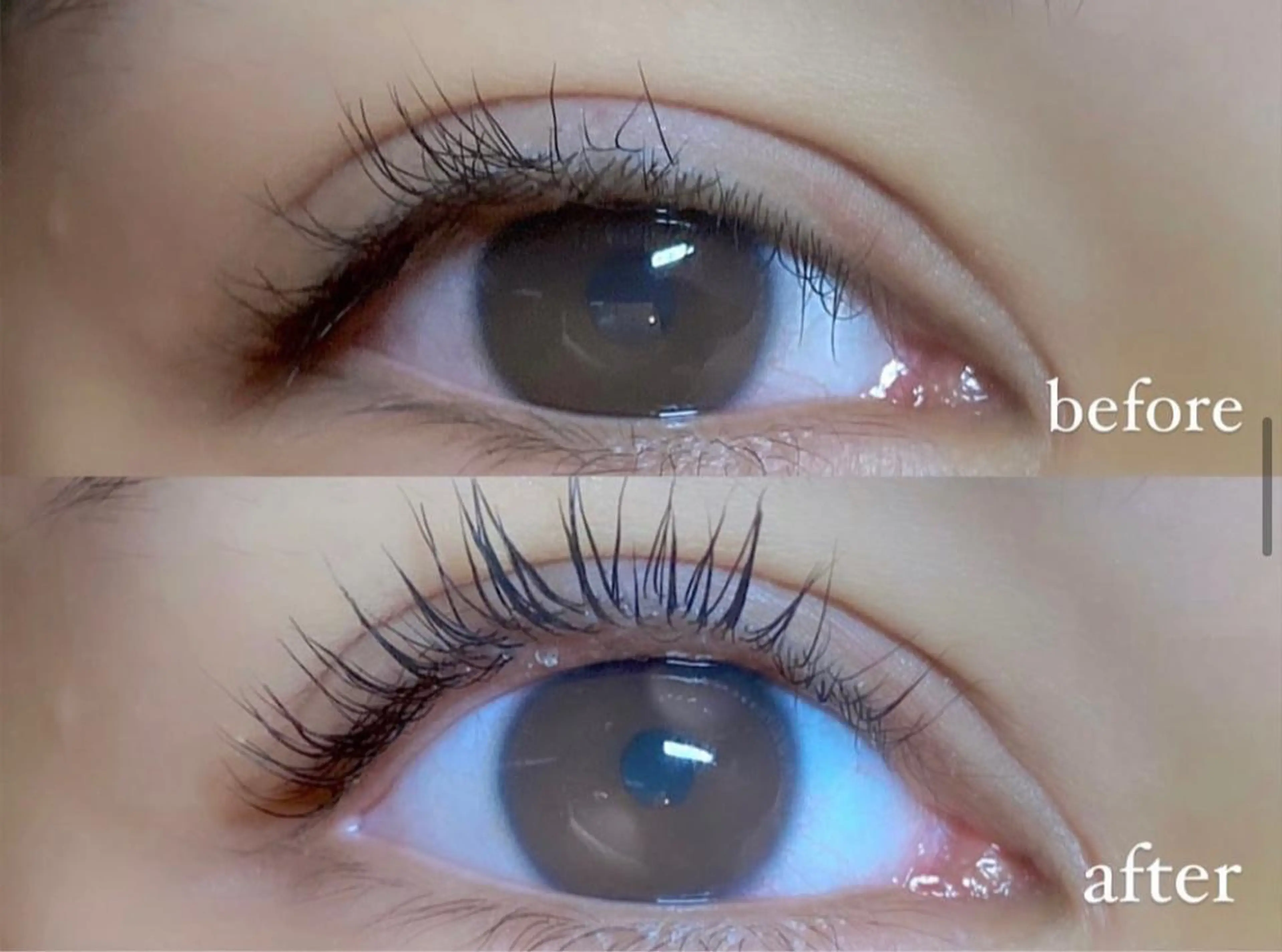 マツエク・マツパ パリジェンヌラッシュリフト マツパ princess 森 碧海のマツエク・マツパデザイン