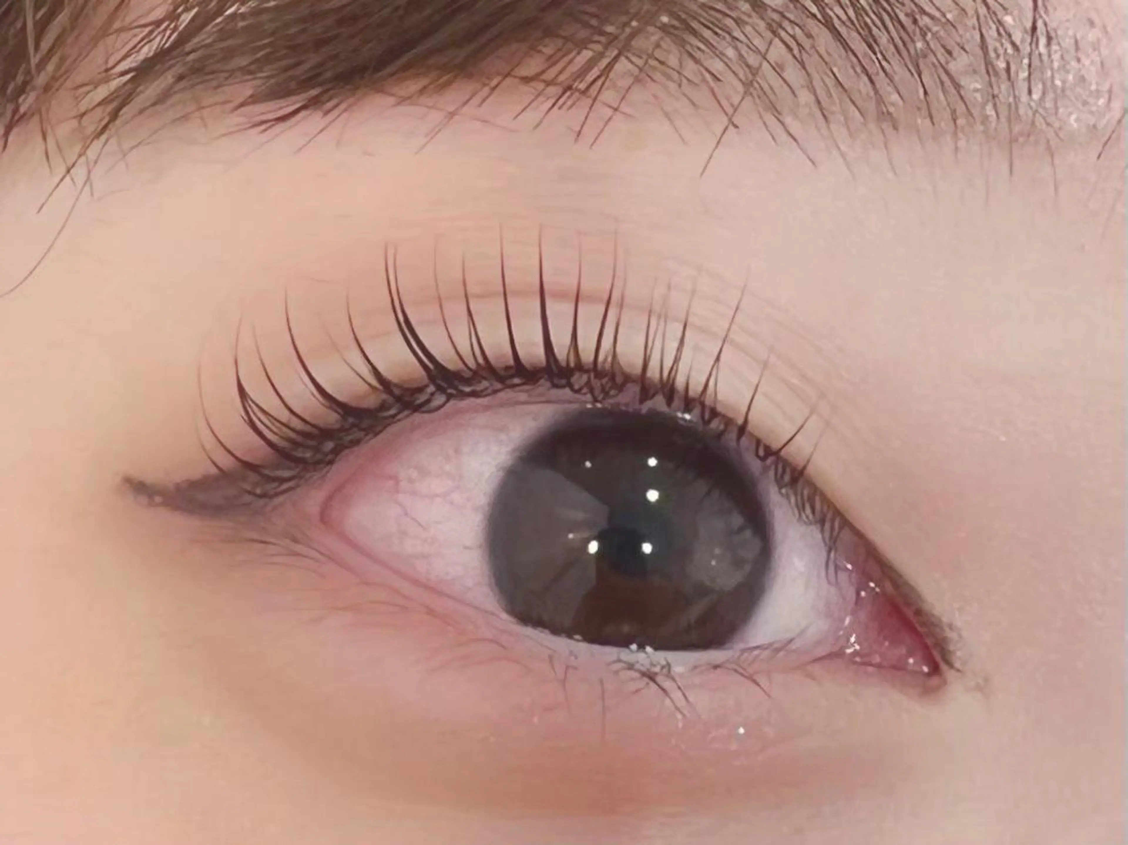 マツエク・マツパ 一重×まつ毛パーマ Fiara 京都七条高倉店のマツエク・マツパデザイン