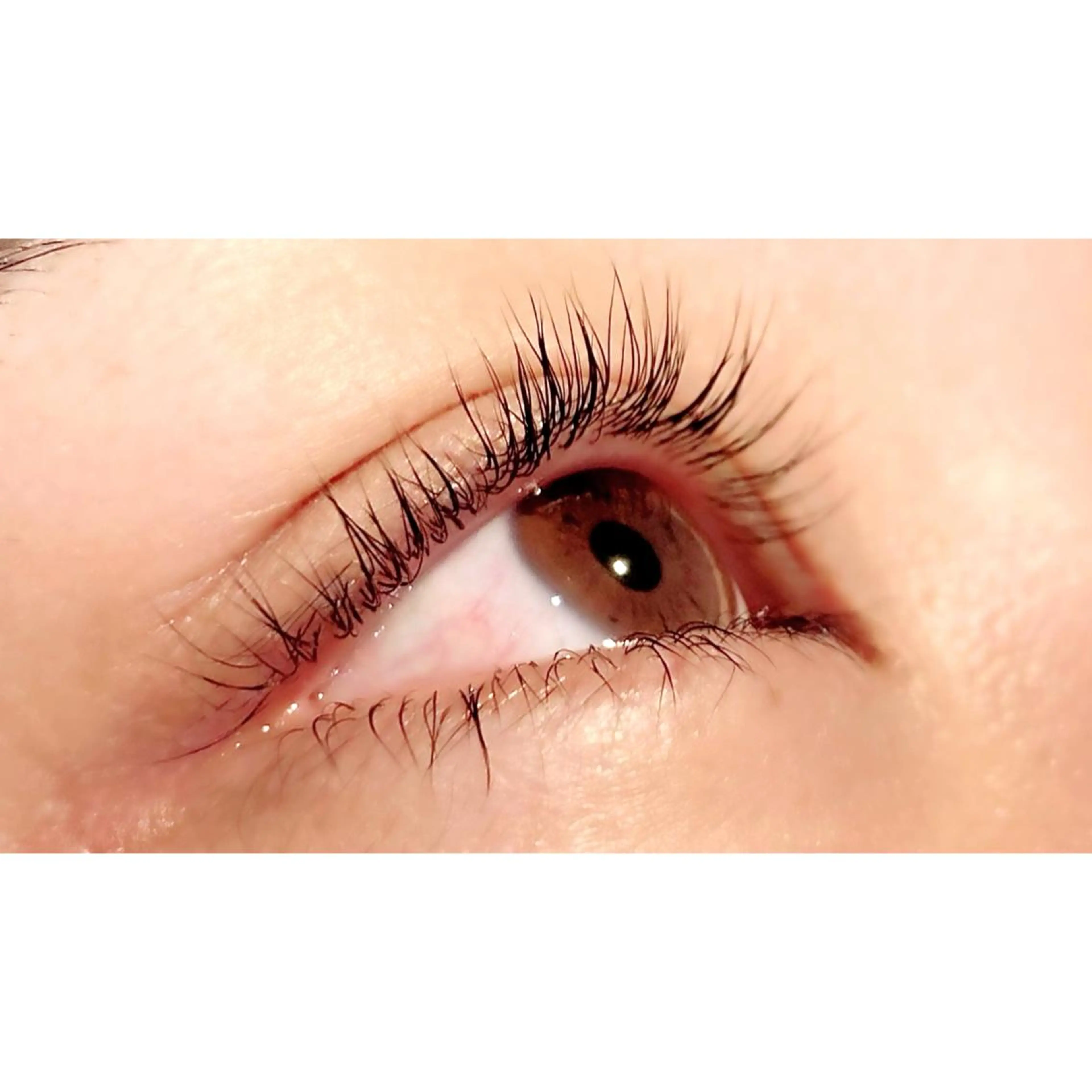 マツエク・マツパ パリジェンヌラッシュリフト Bianca 長津田店　長牛の眉毛・アイブロウイメージ