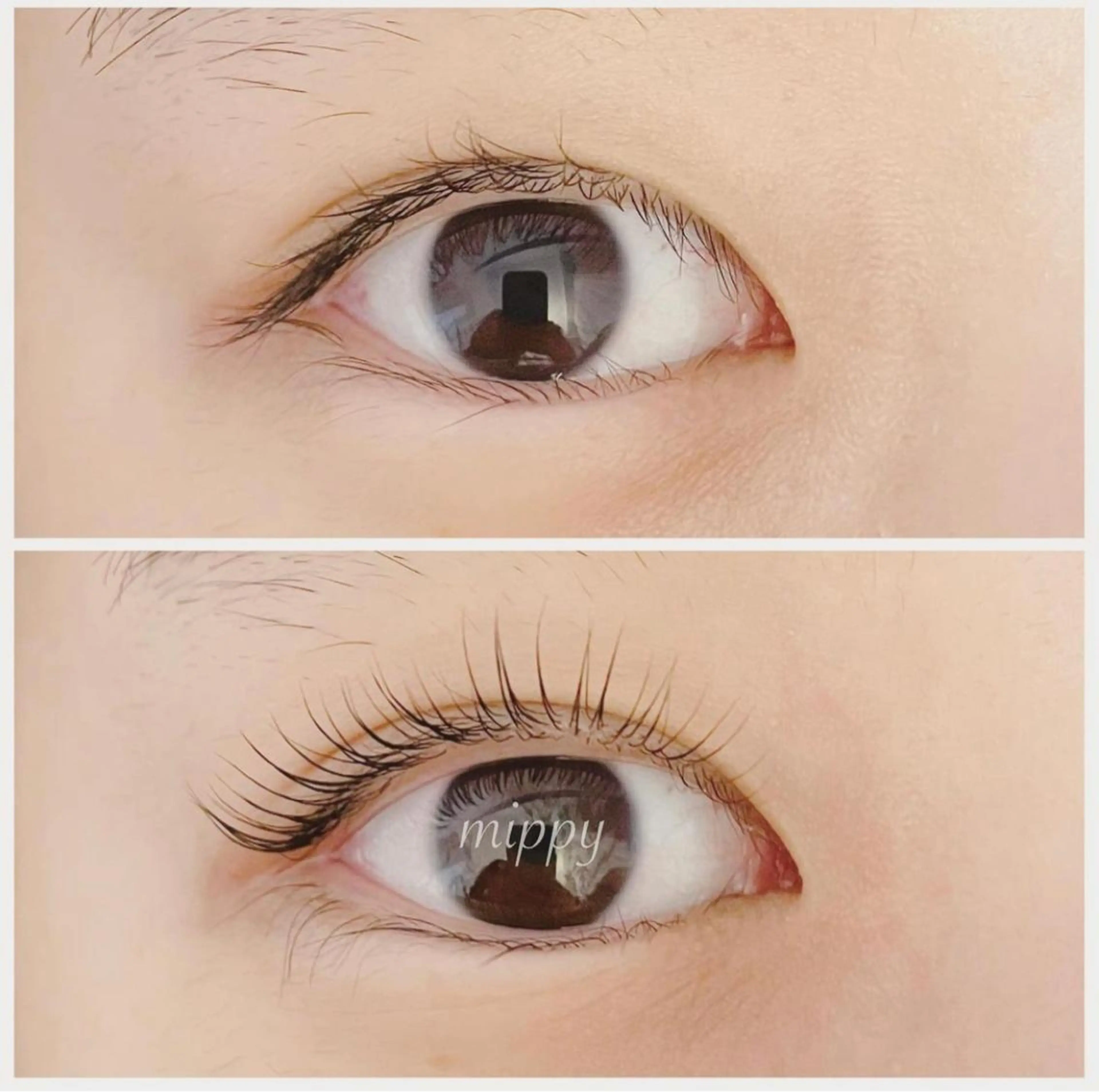 マツエク・マツパ パリジェンヌラッシュリフト ｍｉｐｐｙ 🪽のマツエク・マツパデザイン