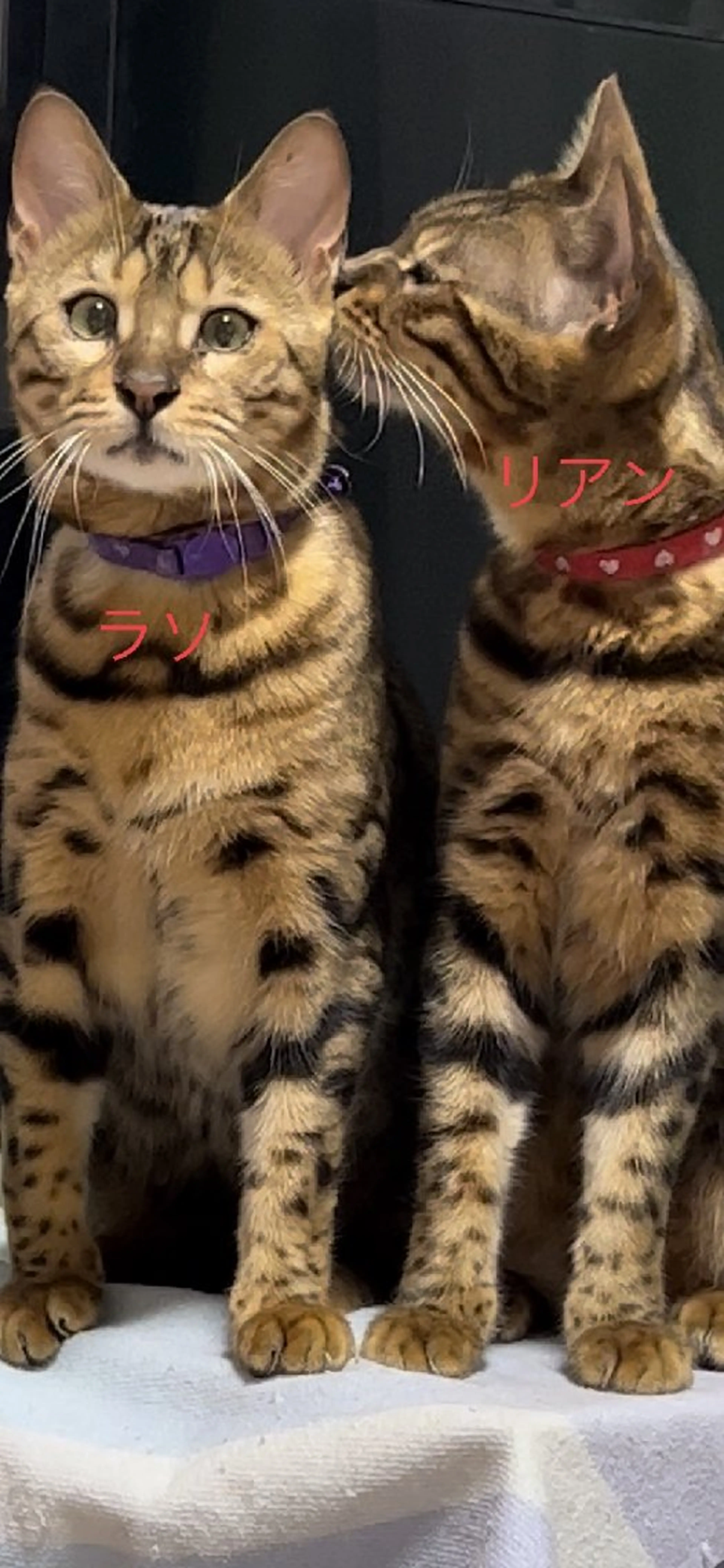 潤 うるむのエステ・リラクイメージ