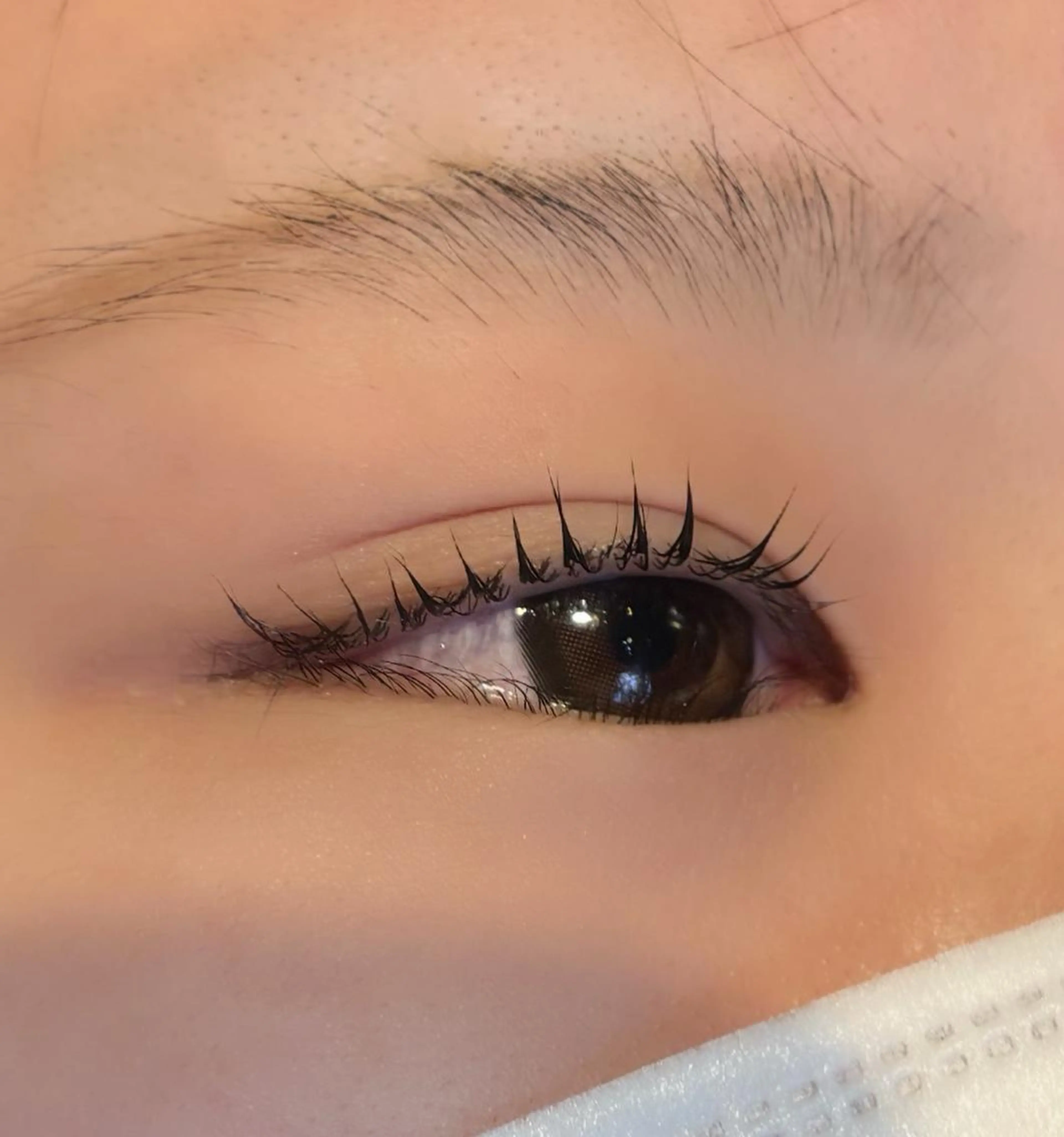 マツエク・マツパ マツパ 最強美髪💙ྀི/ アイ兼任👀/ミナルのヘアスタイル