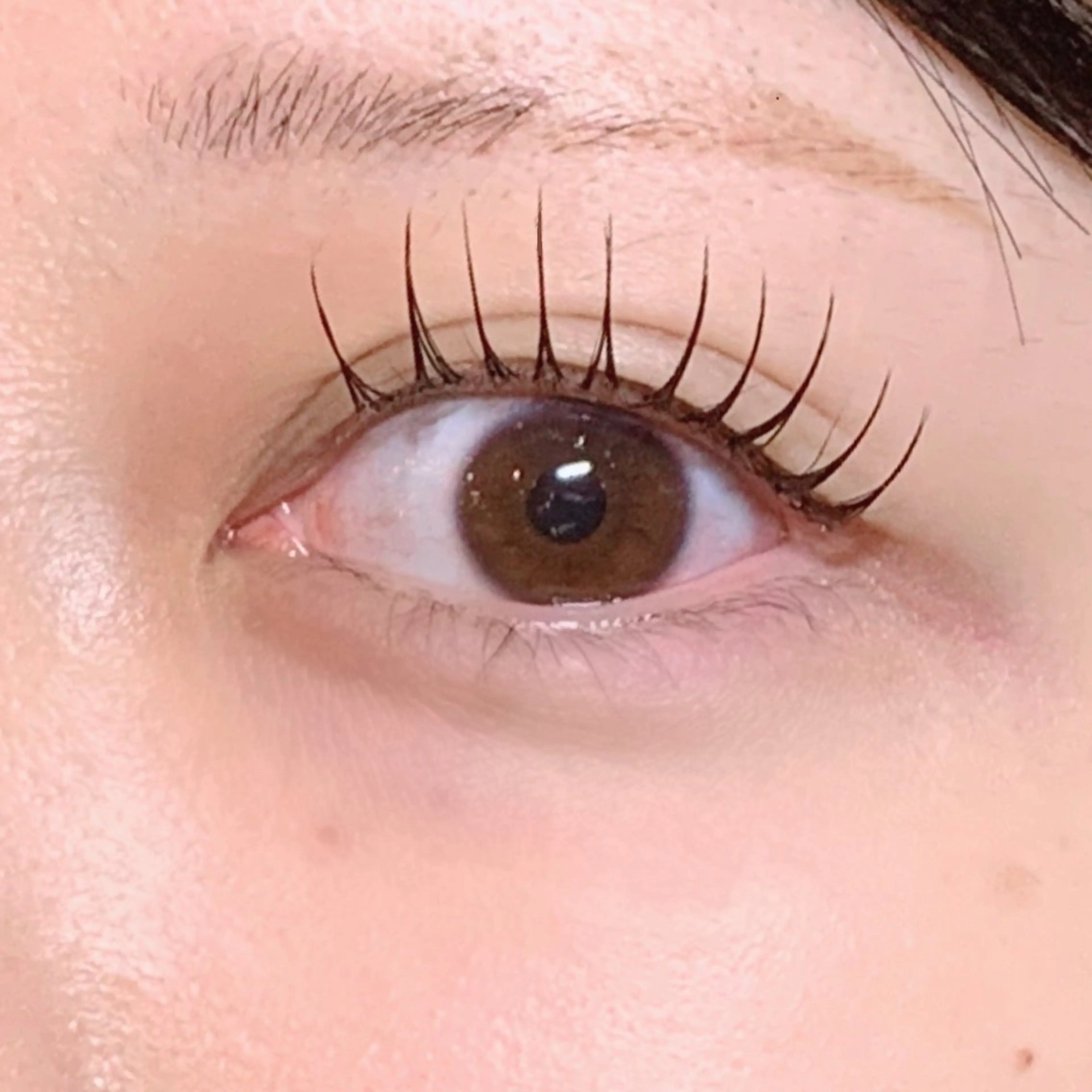 マツエク・マツパ マツエク komatsu 🫧のマツエク・マツパデザイン