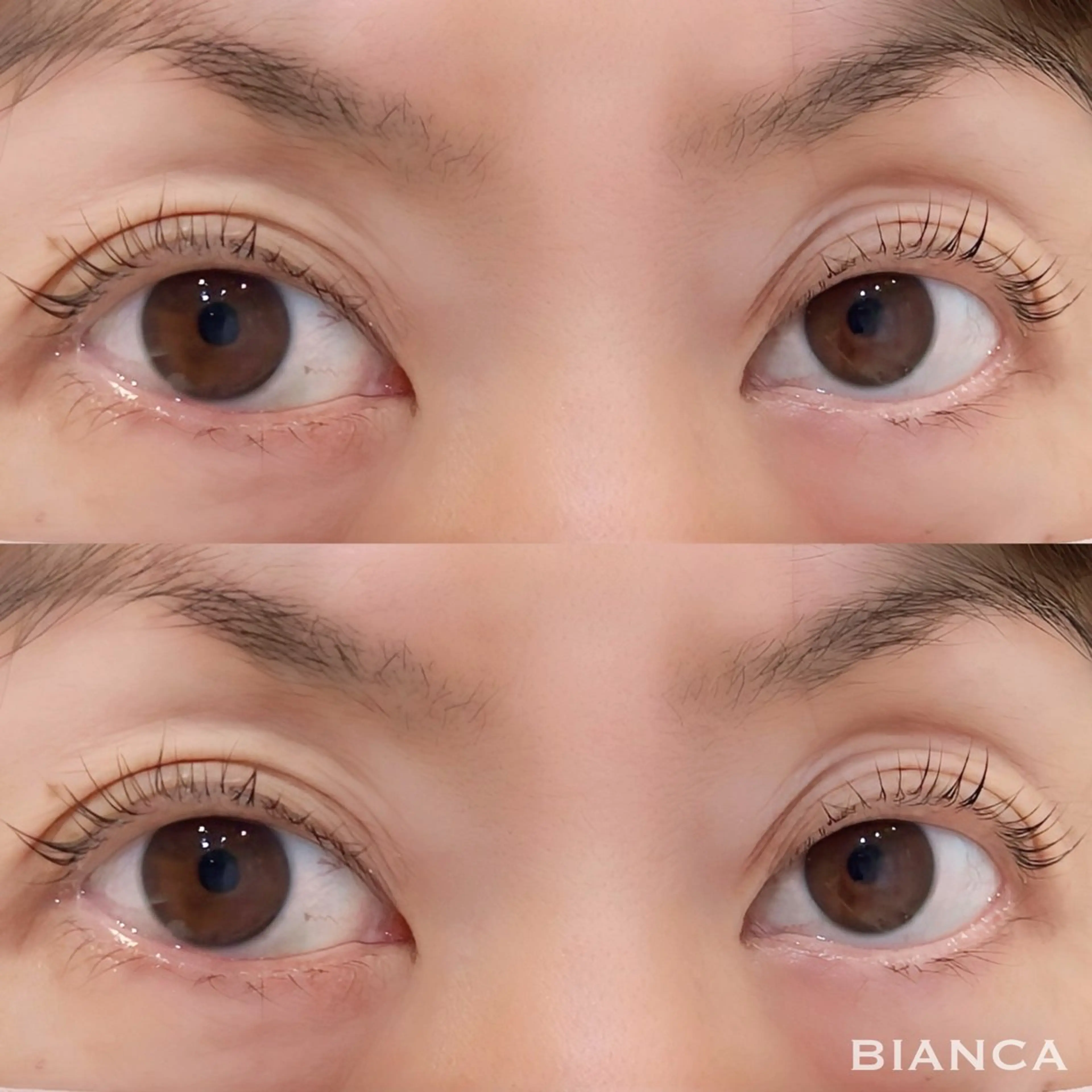 マツエク・マツパ マツパ BIANCA/上大岡 /YUKARI/束感のマツエク・マツパデザイン