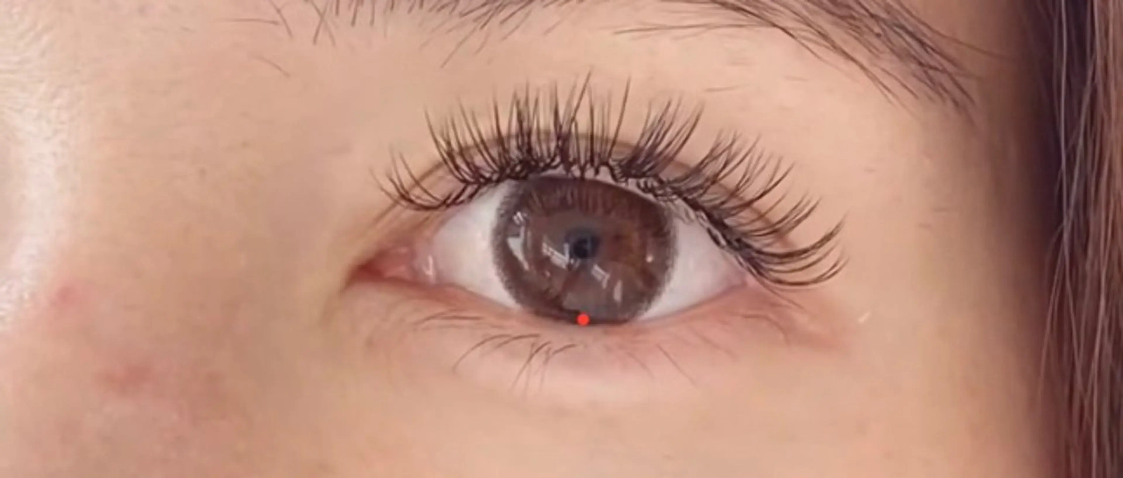 💥【持続良し】バインドロック100束🔥の写真