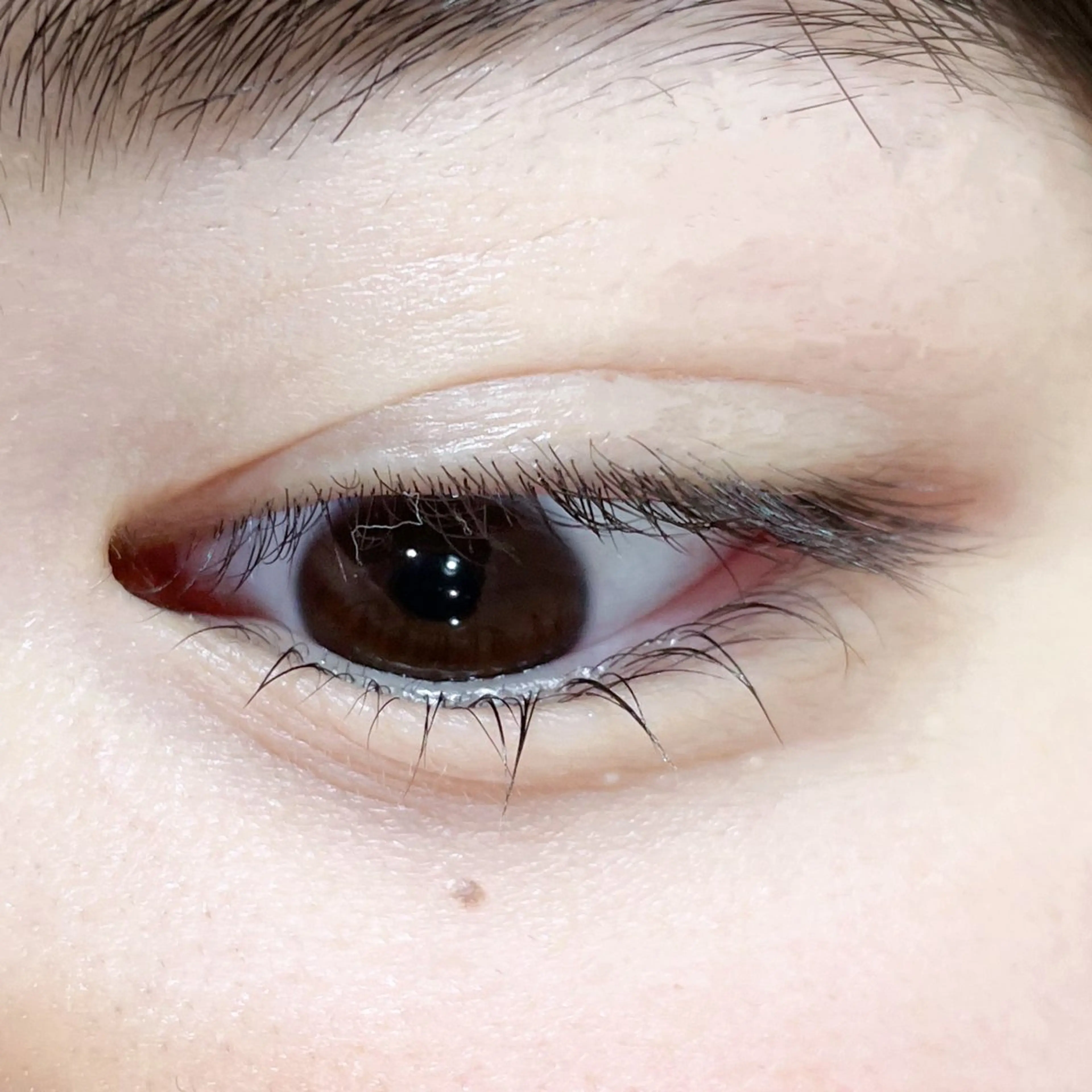 マツエク・マツパ マツパ 櫻井 怜華のマツエク・マツパデザイン