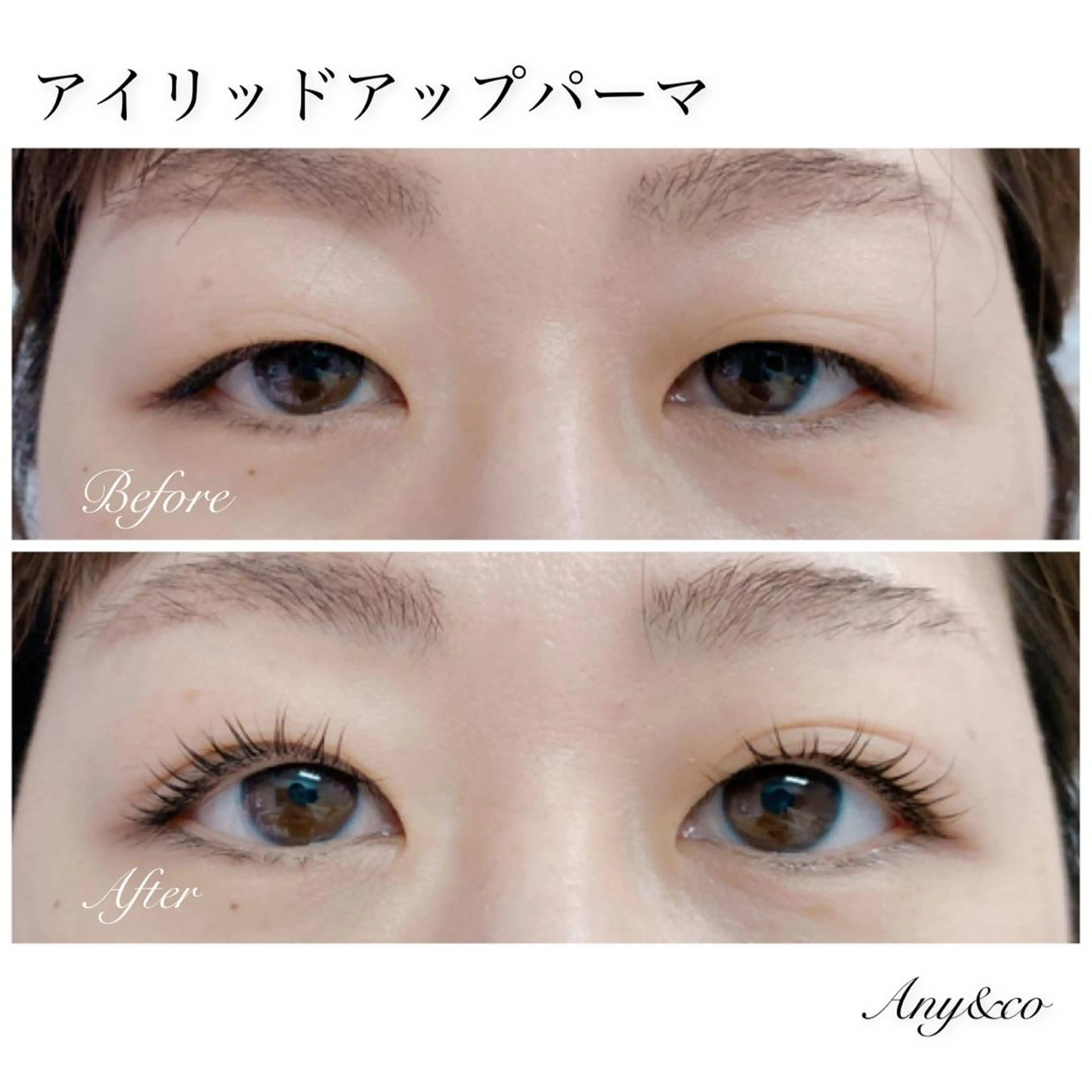 マツエク・マツパ アイリッドアップパーマ Any&co 【エニコ】のマツエク・マツパデザイン