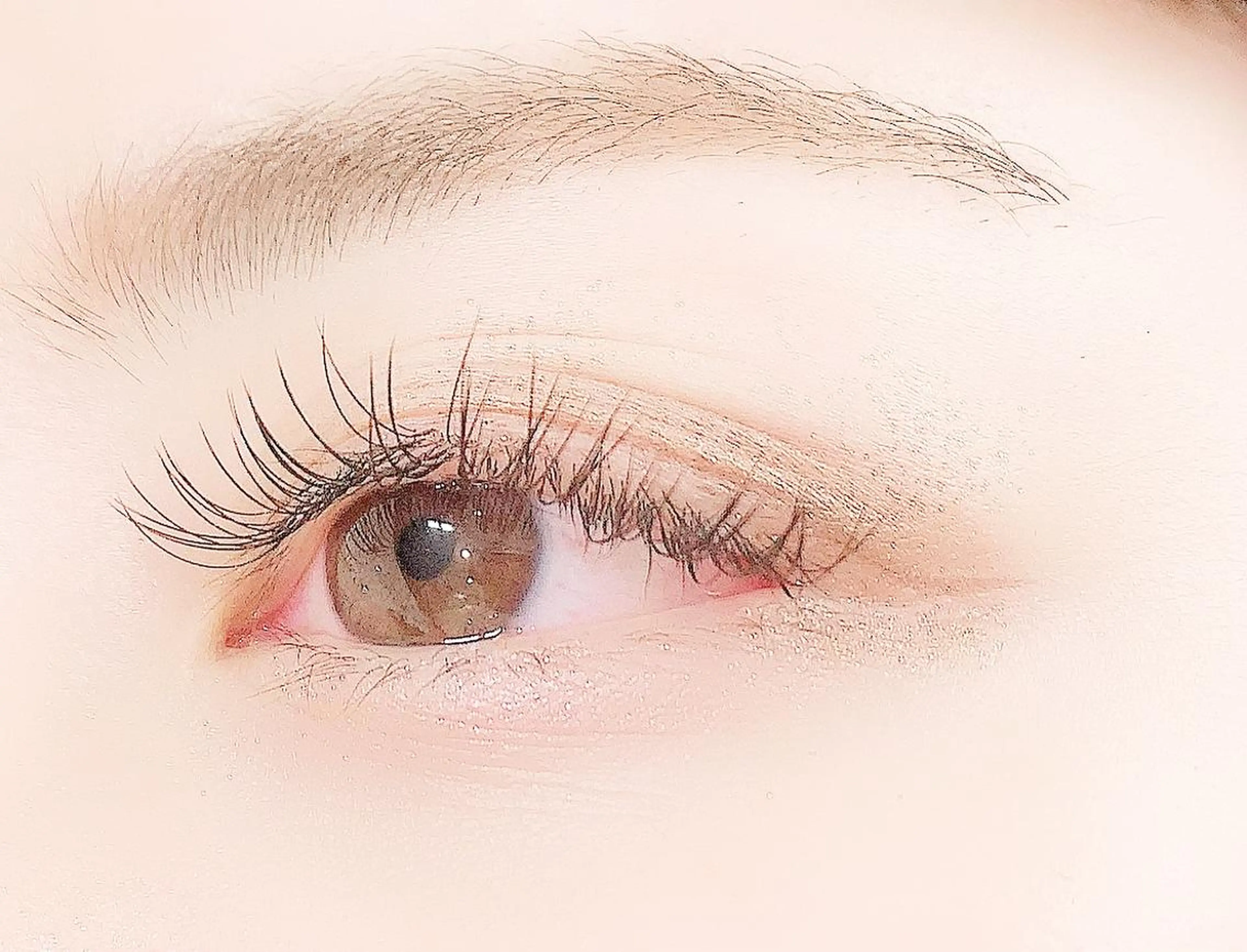 マツエク・マツパ キュート フラットラッシュ マツエク 【Lanhr】 🕊aya🕊のマツエク・マツパデザイン